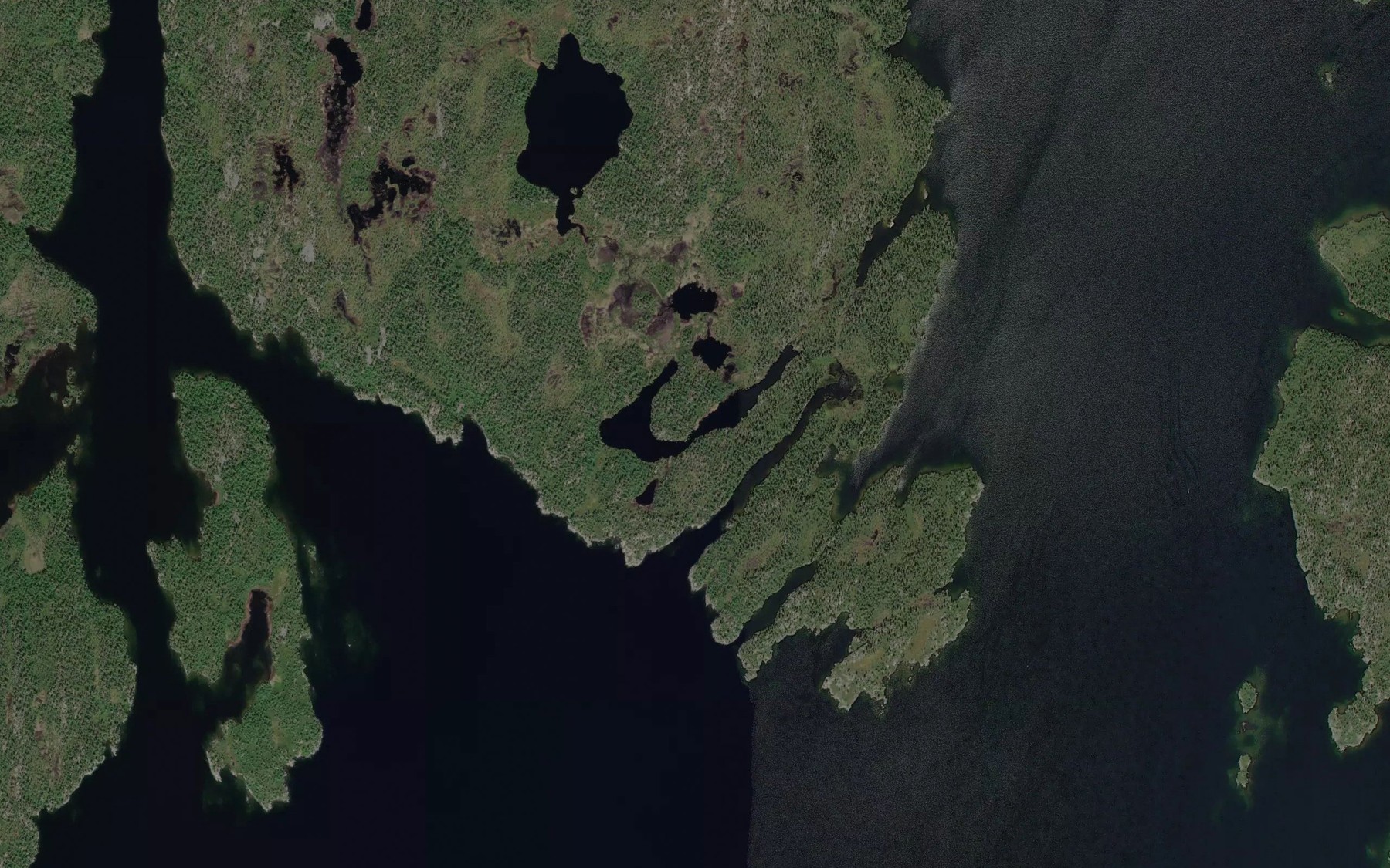 Satellite map of the Mutkajarvi