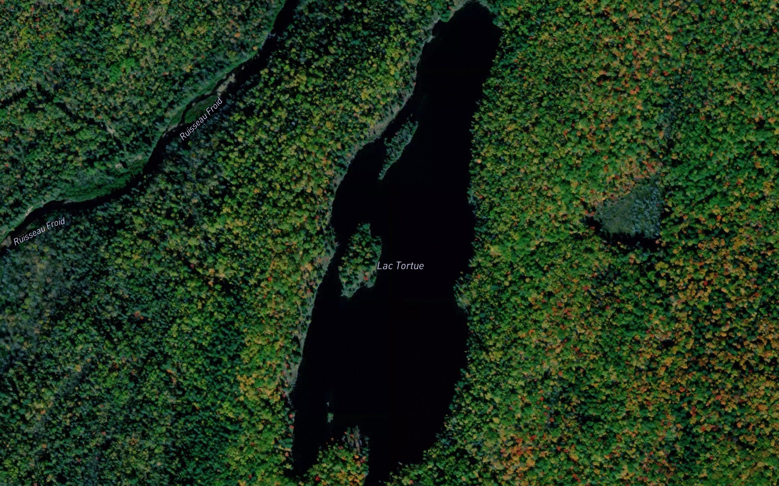 Lac Tortue