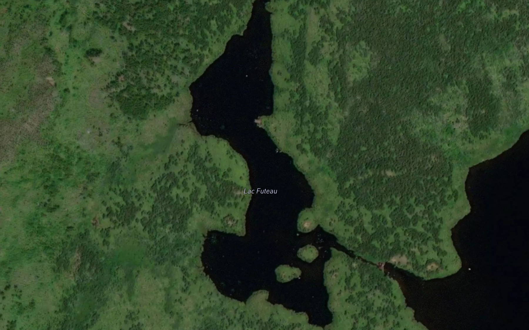 Satellite map of the Lac Futeau