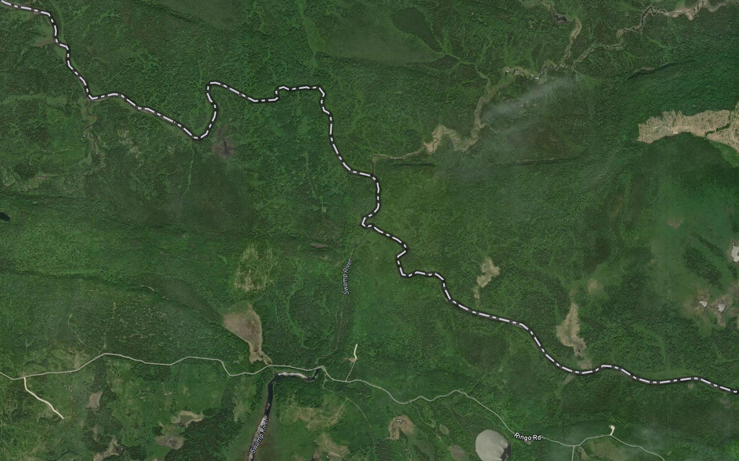 Swamp River