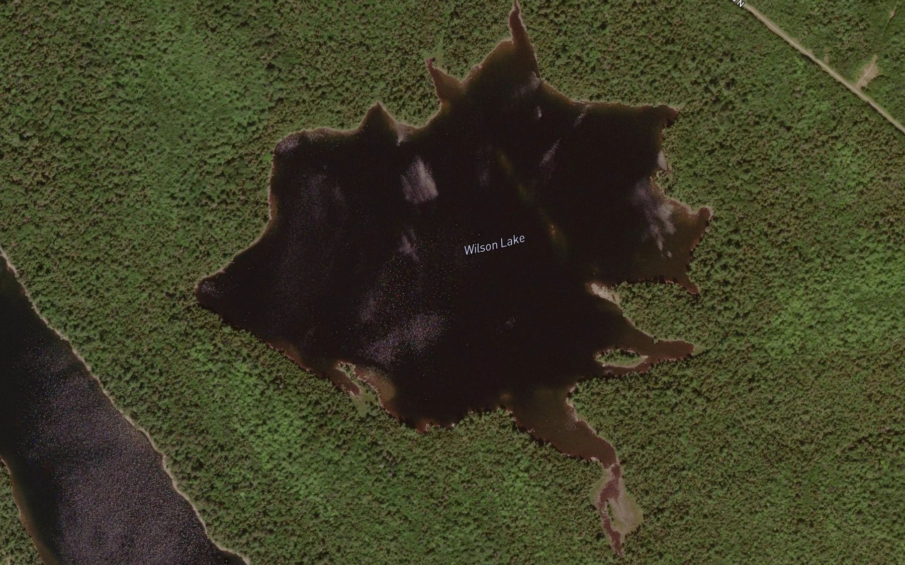 Satellite map of the Wilson Lake