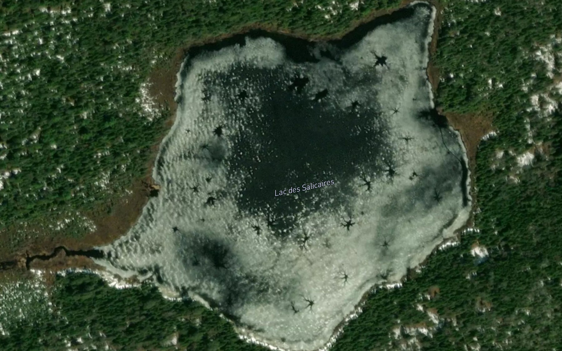 Satellite map of the Lac des Salicaires