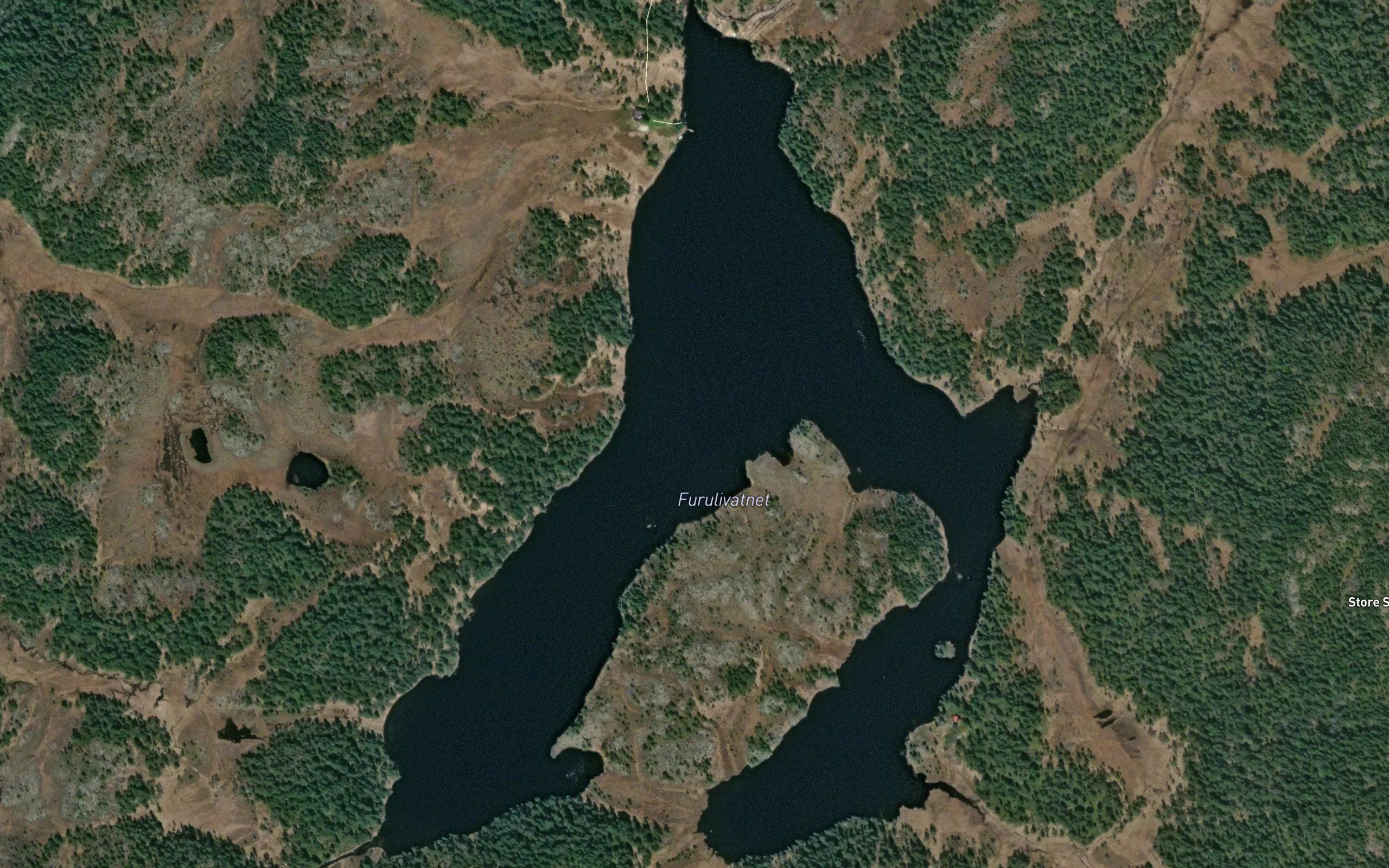 Furulivatnet