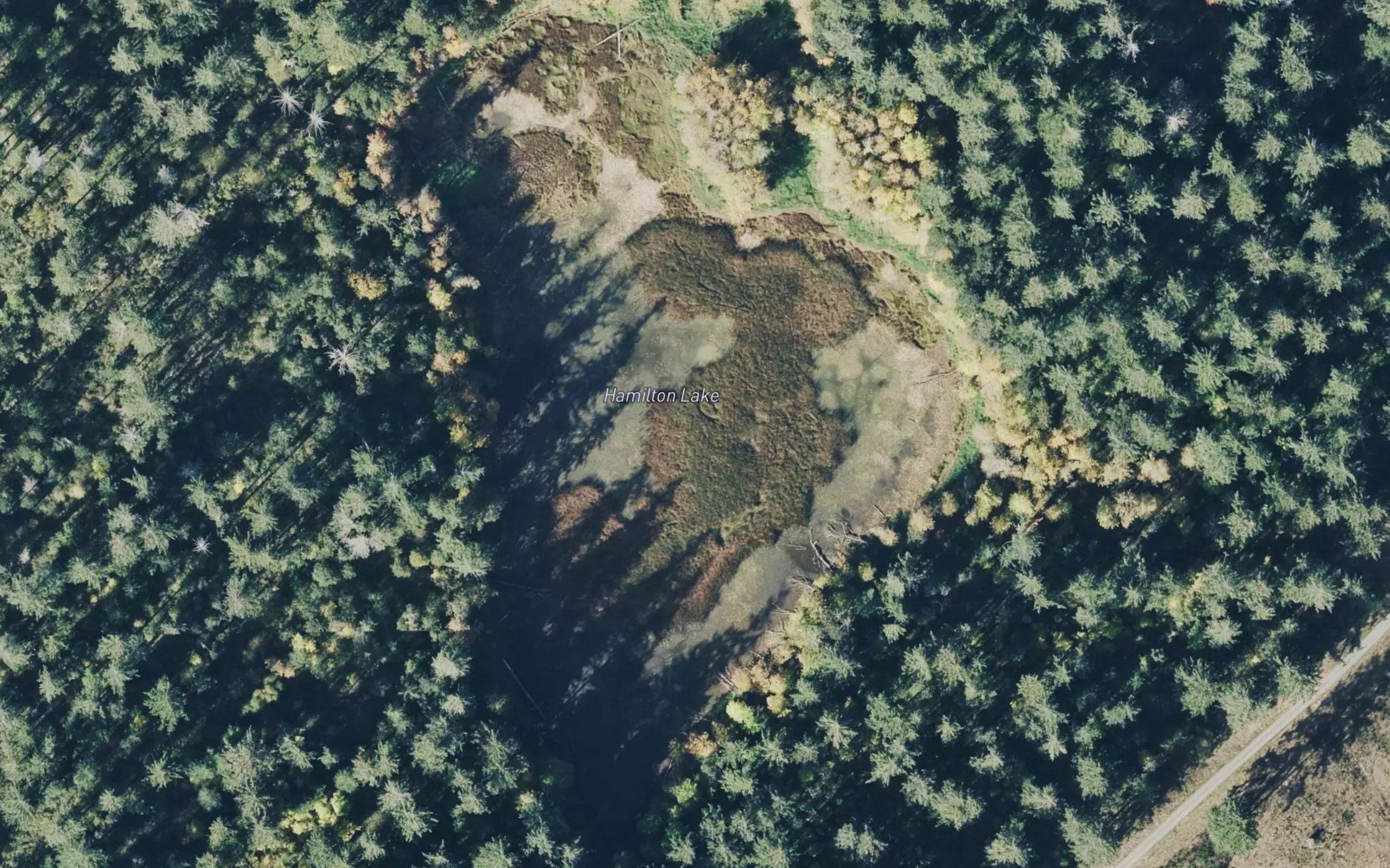 Hamilton Lake