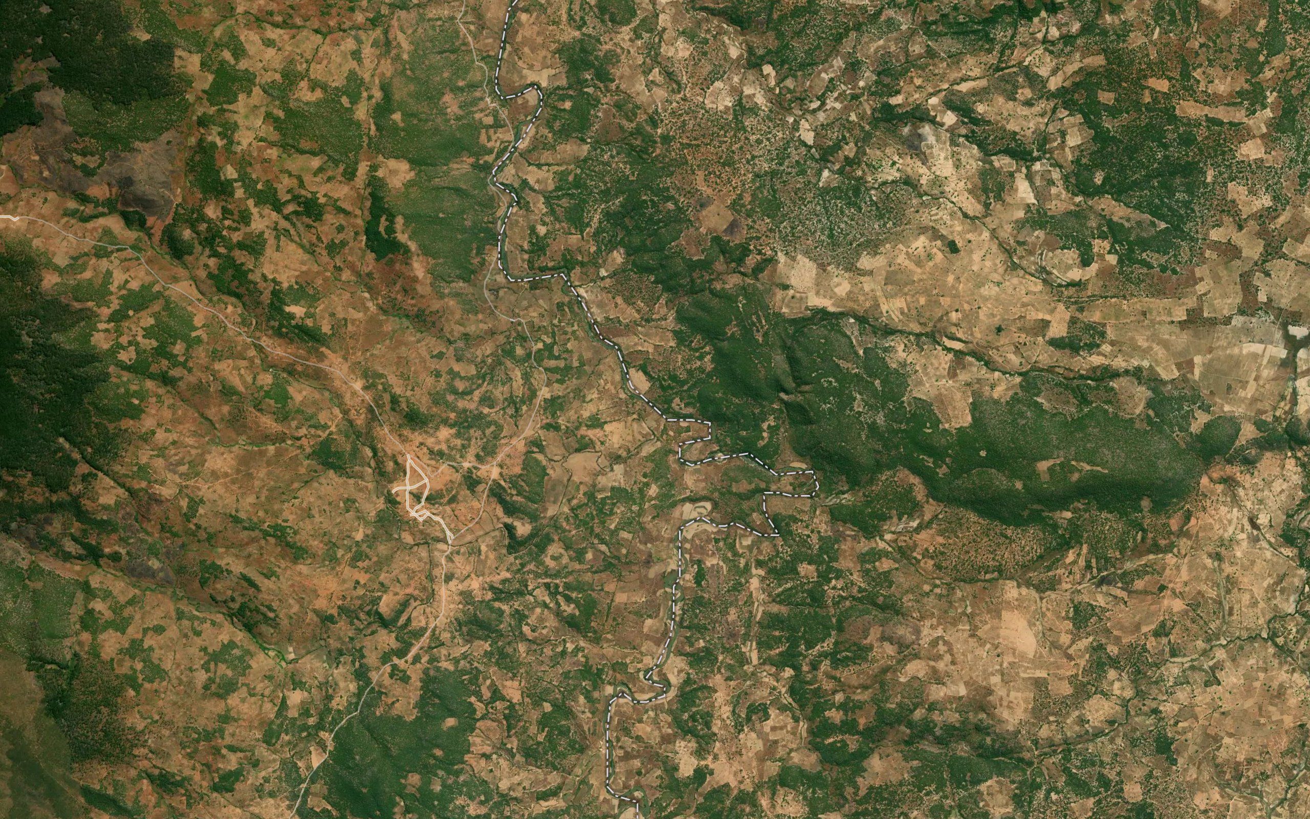 Aluluca