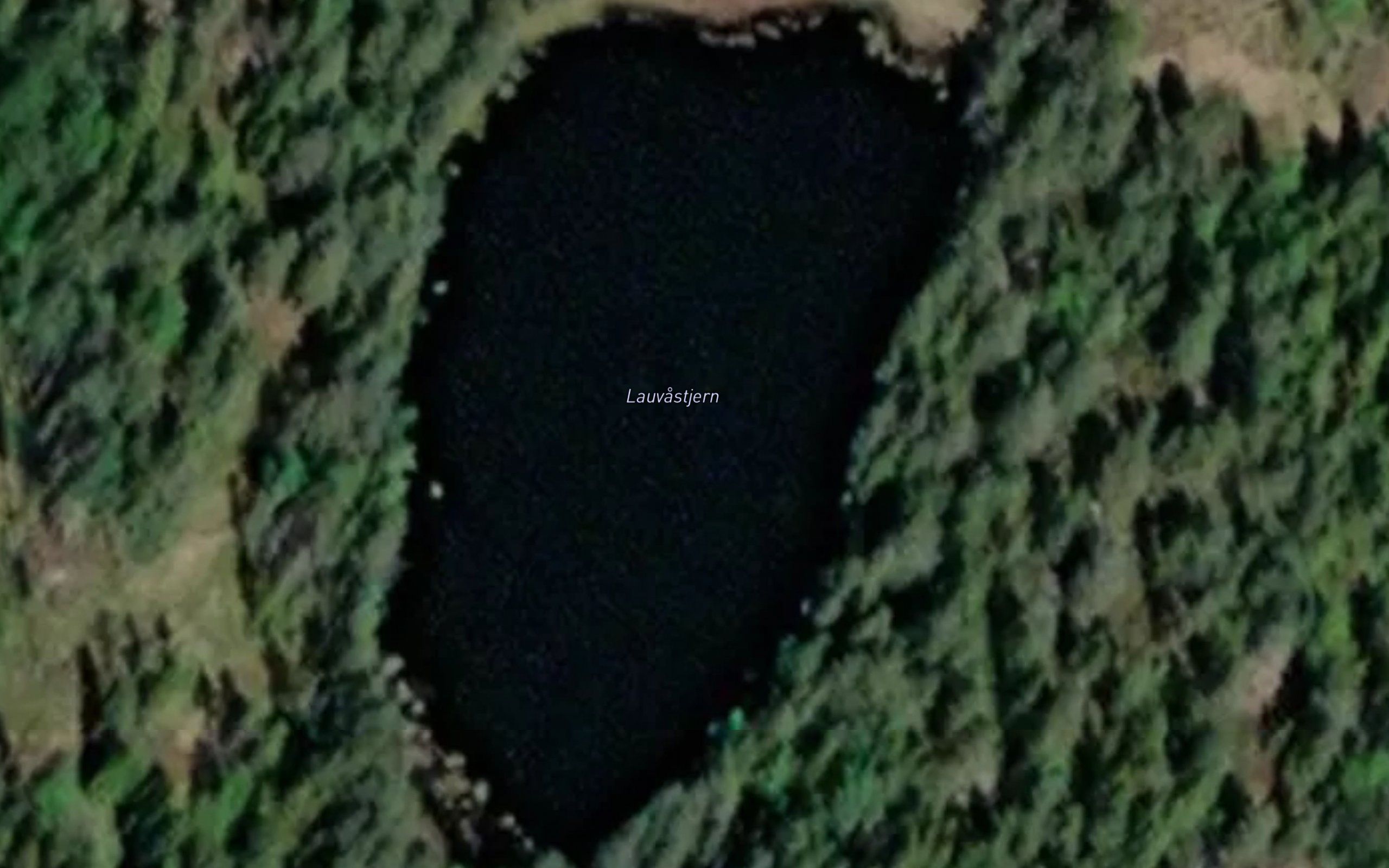 Lauvastjern
