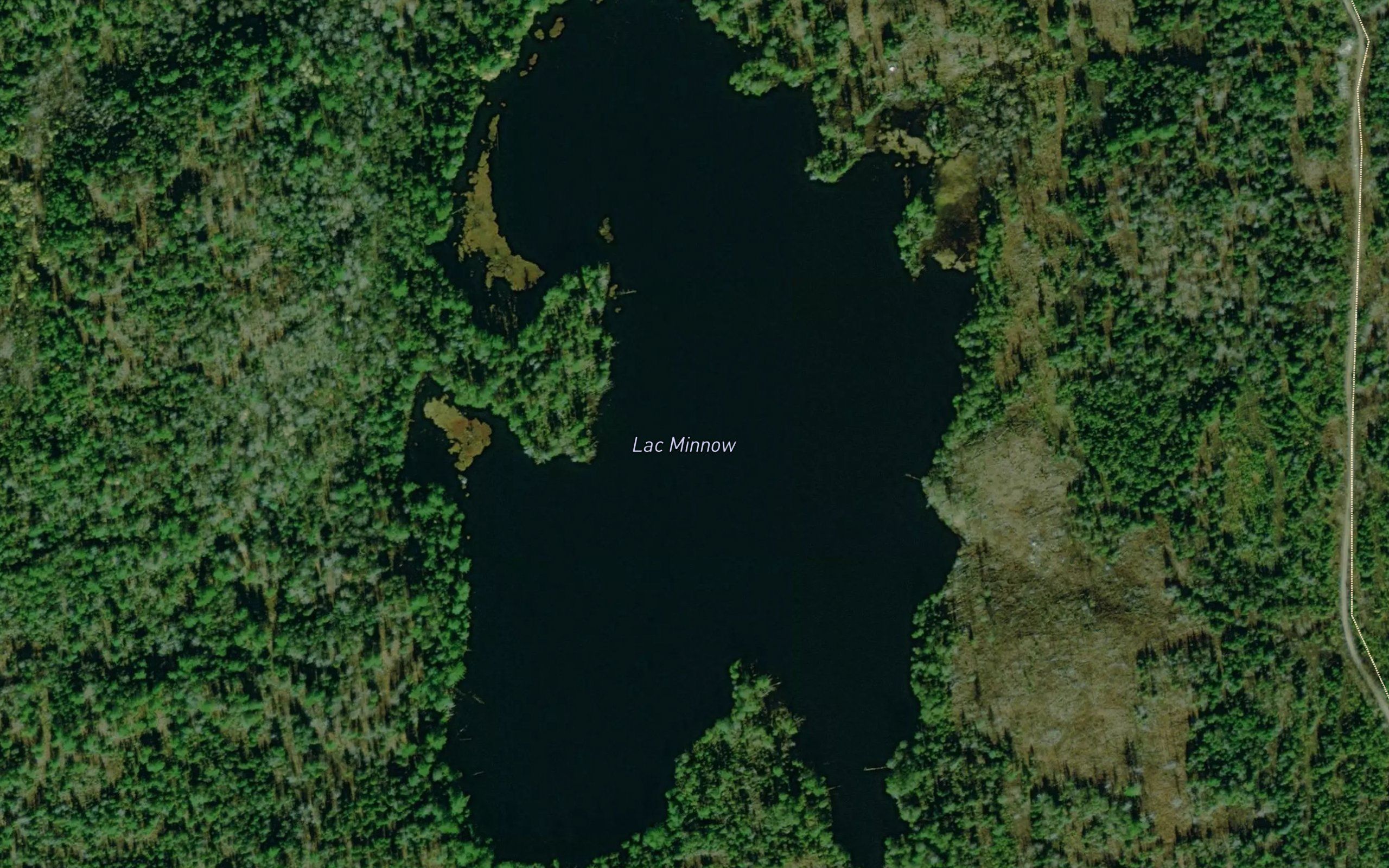 Lac Minnow
