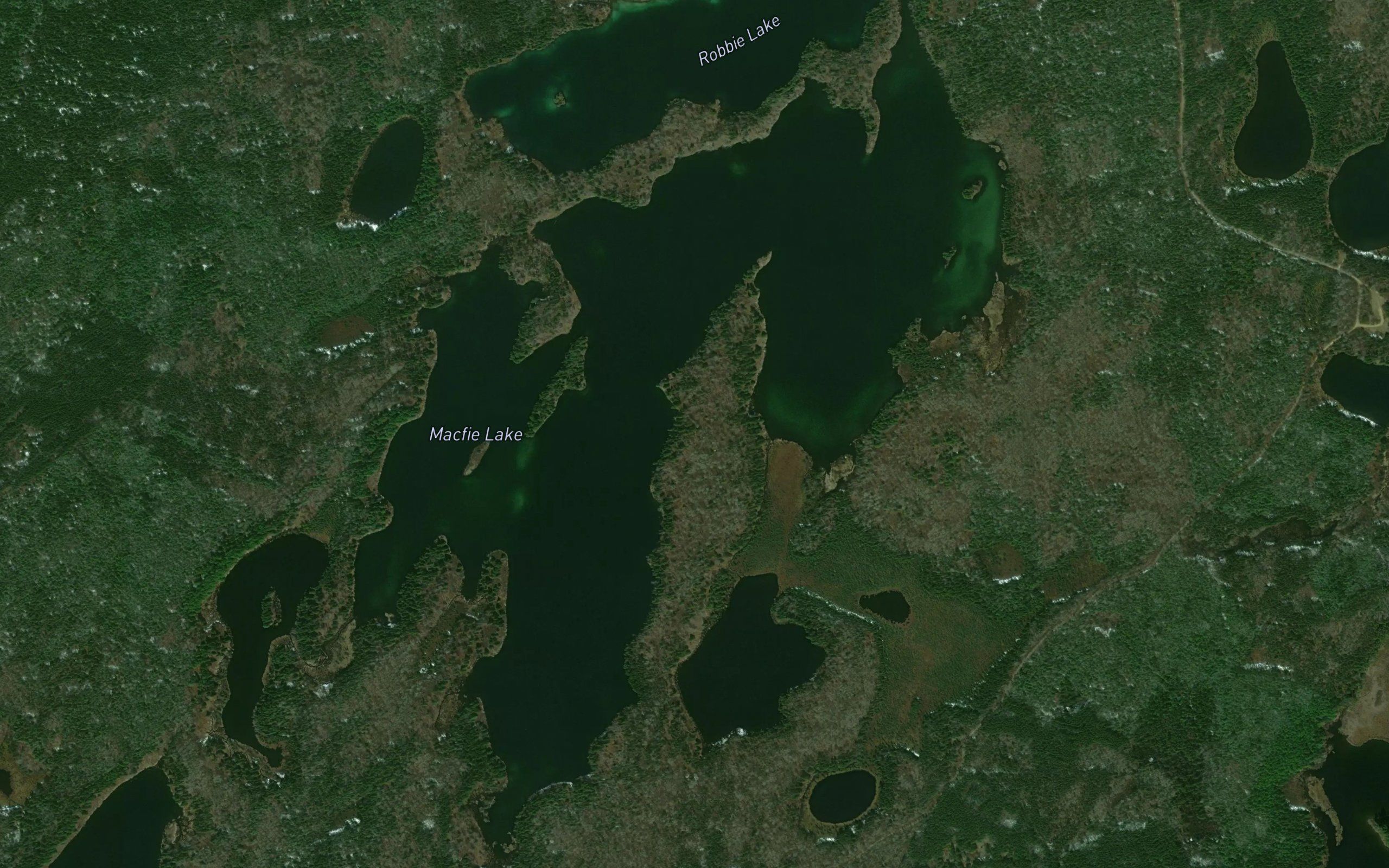Macfie Lake