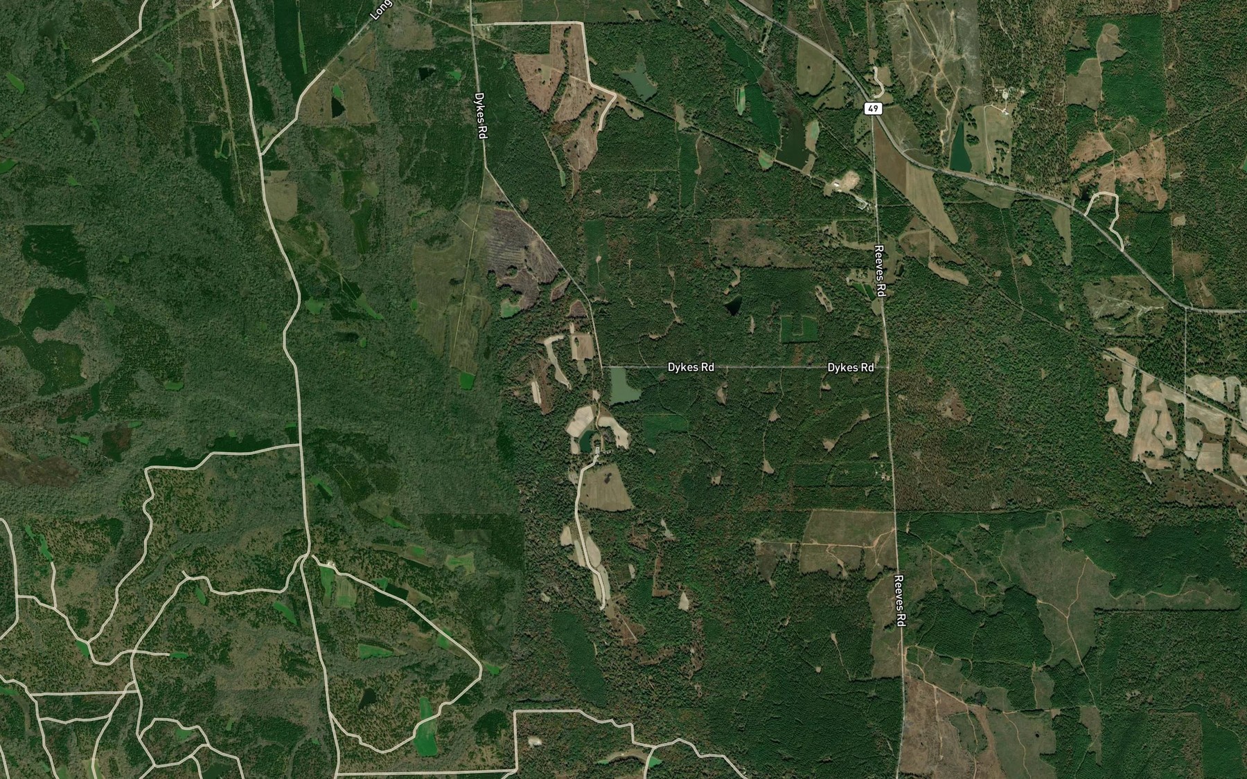 Satellite map of the Dykes Pond