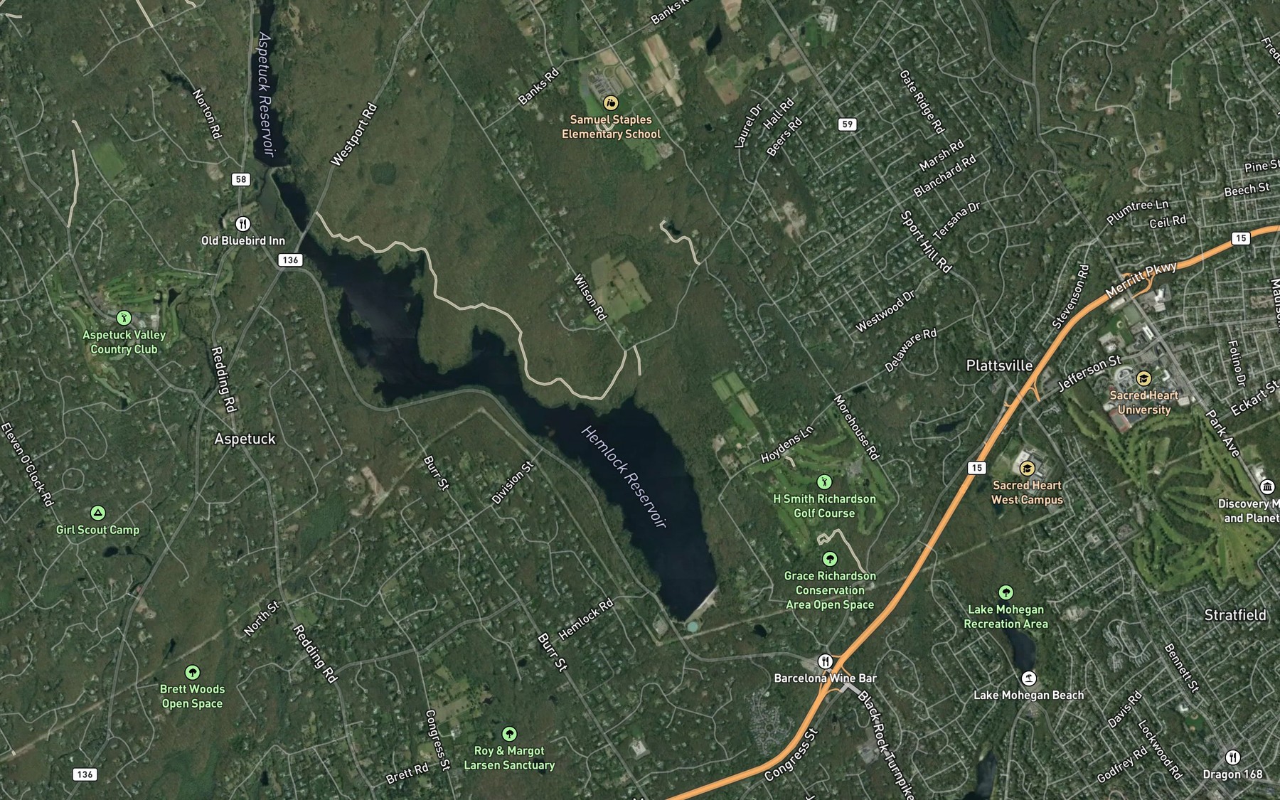 Satellite map of the East Branch Cricker Brook