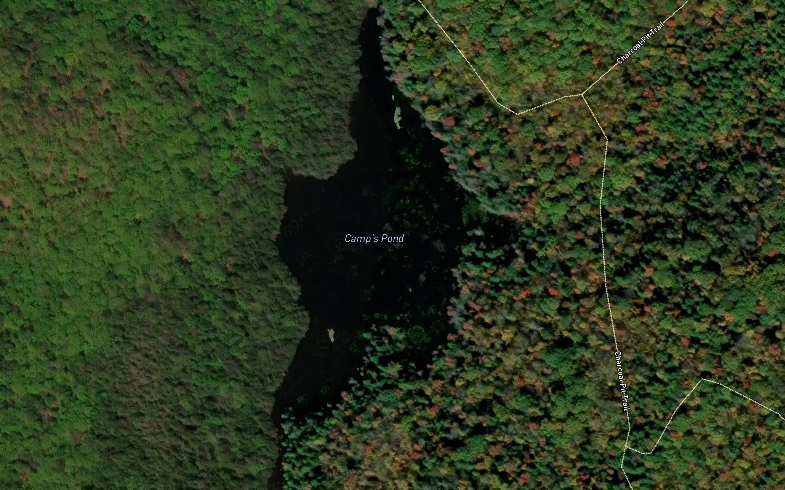 Camp Pond