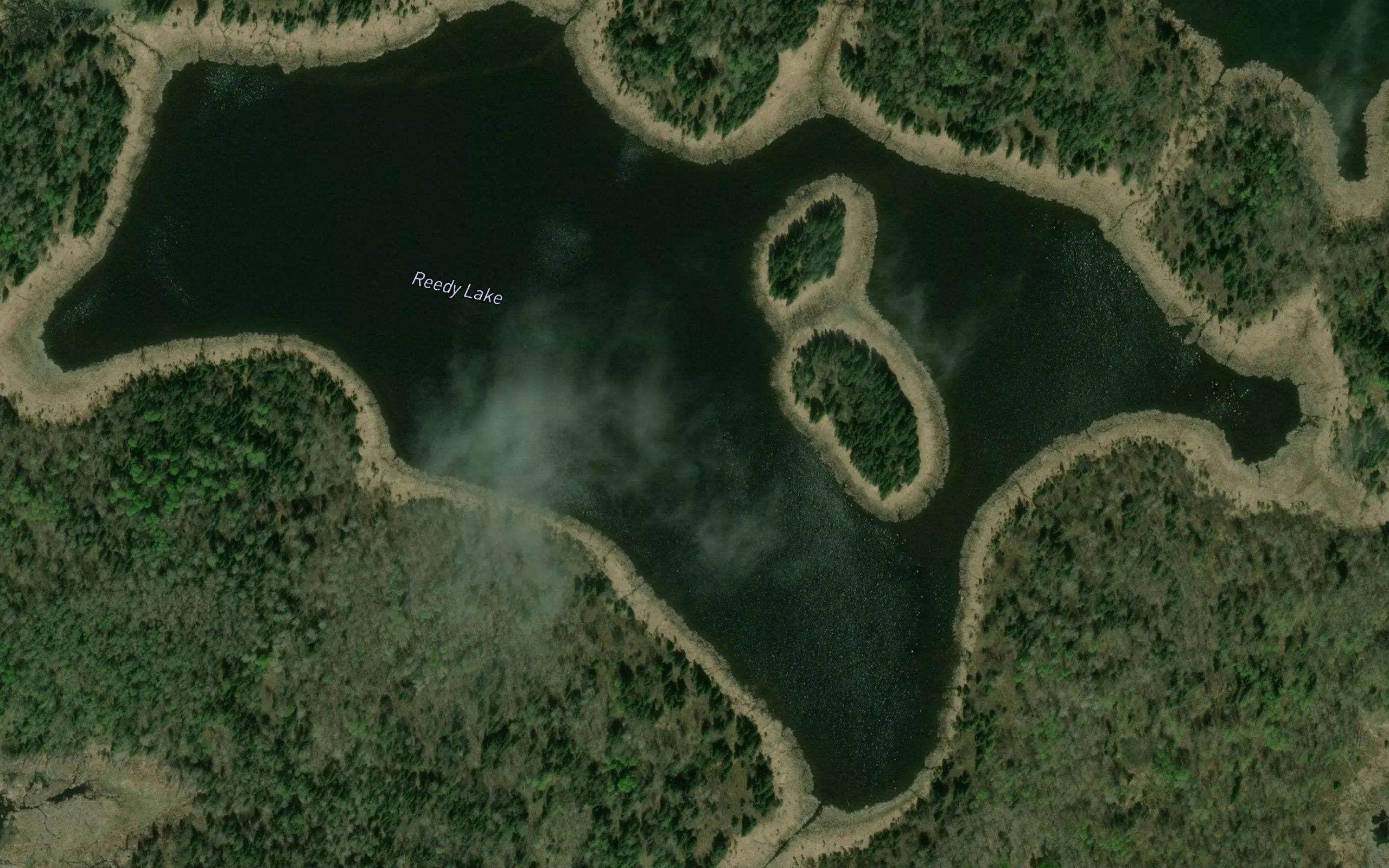 Reedy Lake