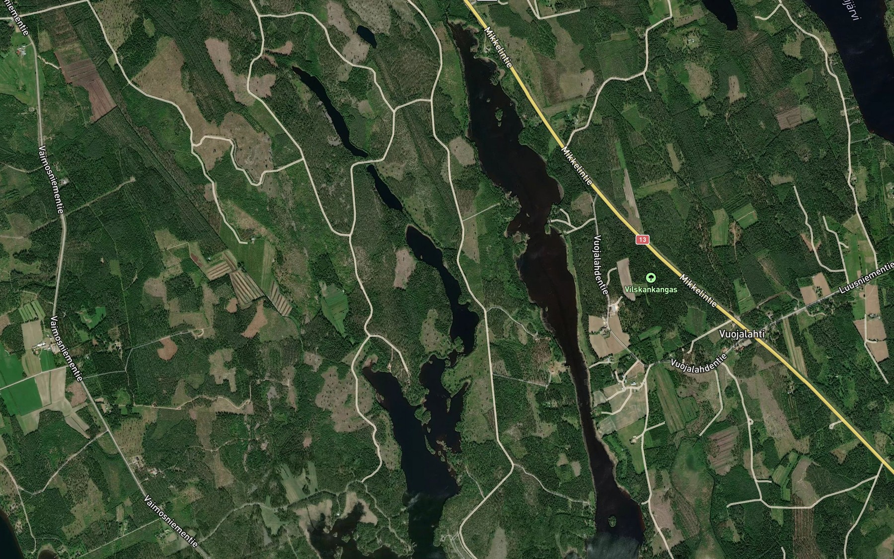 Satellite map of the Pitkalahti