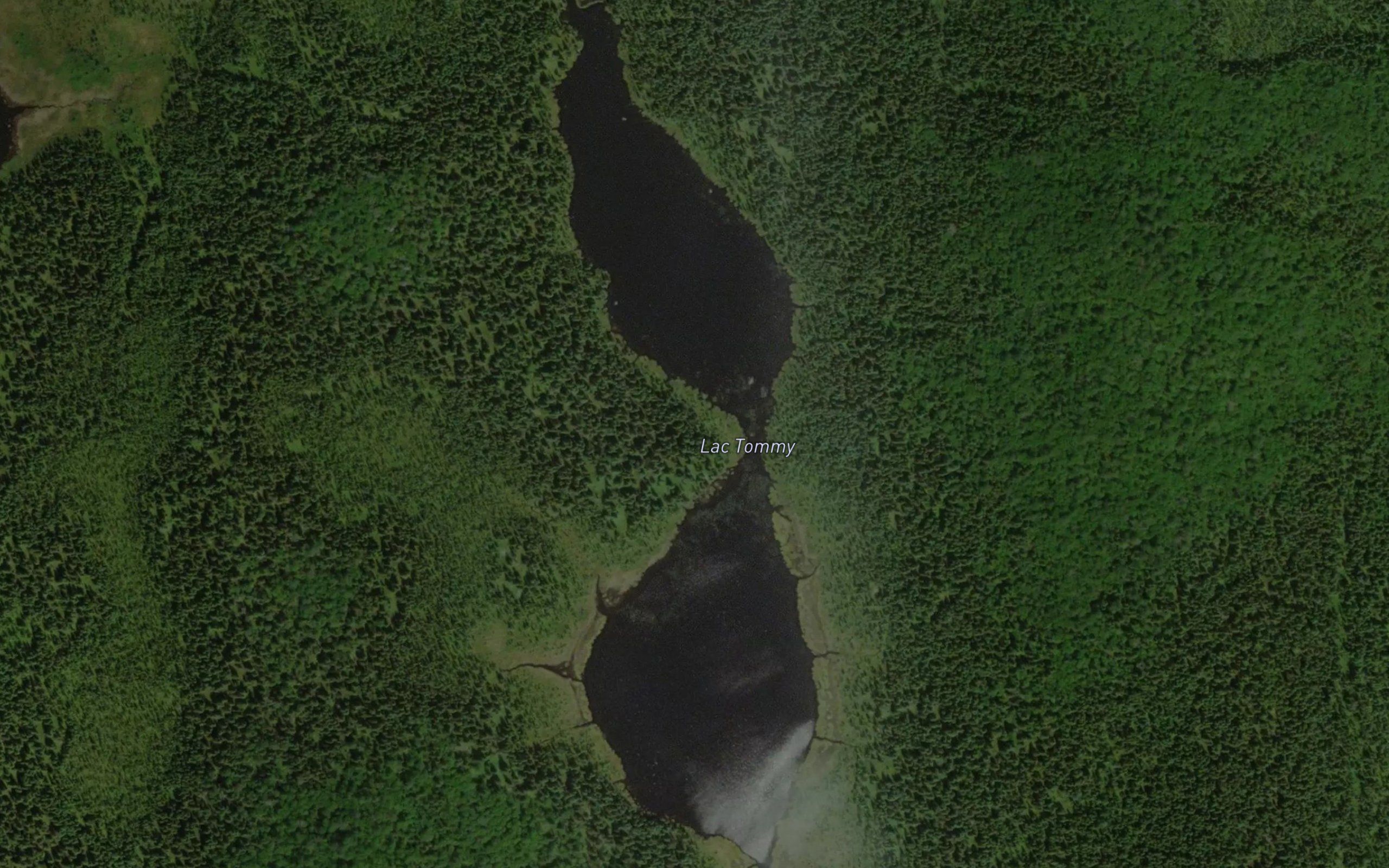 Lac Tommy