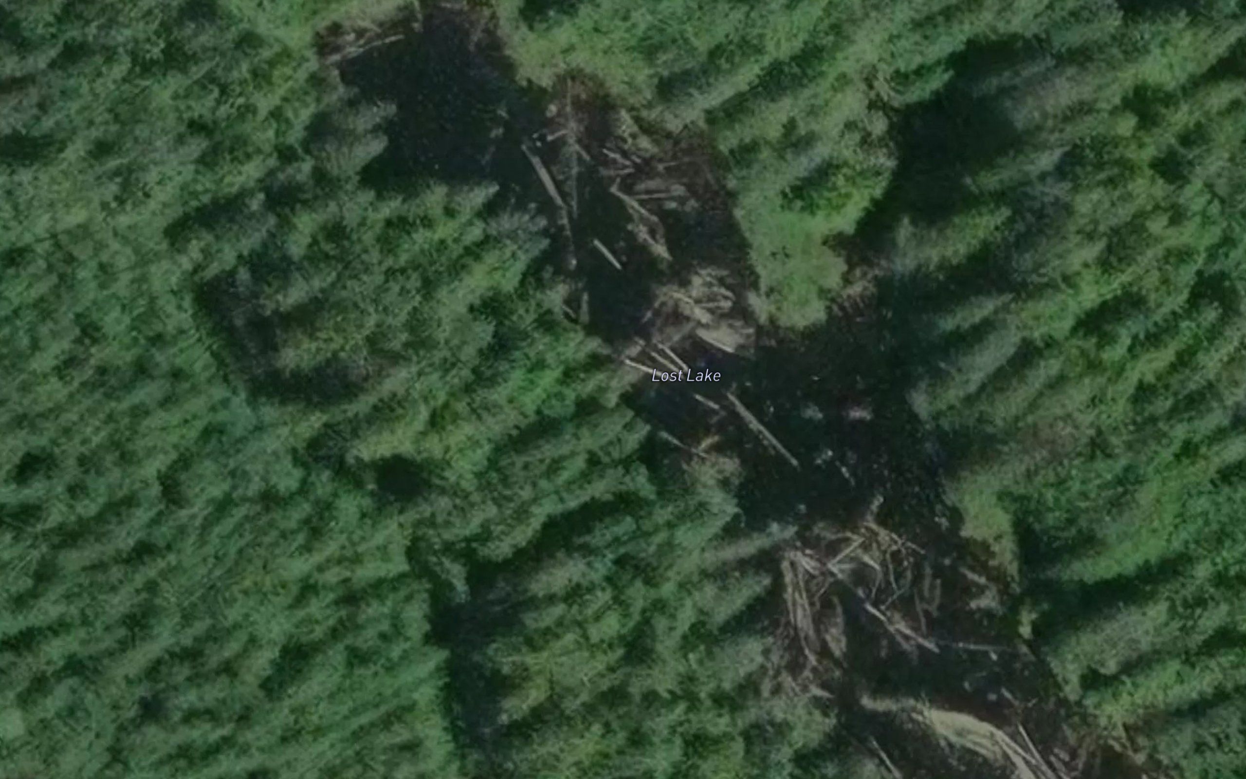 Lost Lake