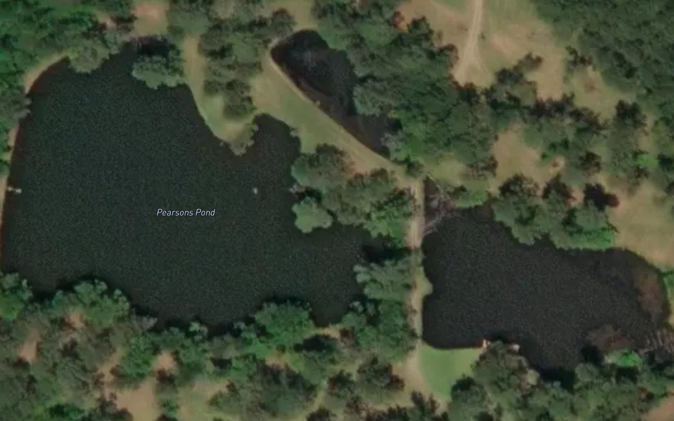 Pearsons Pond