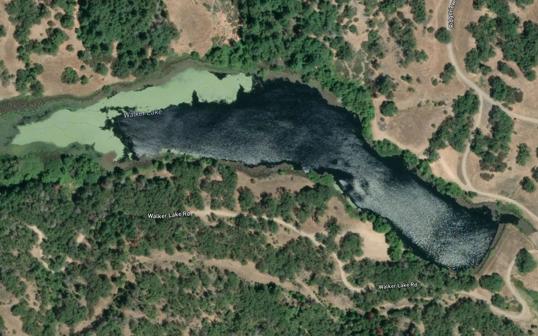 Satellite map of the Walker Lake
