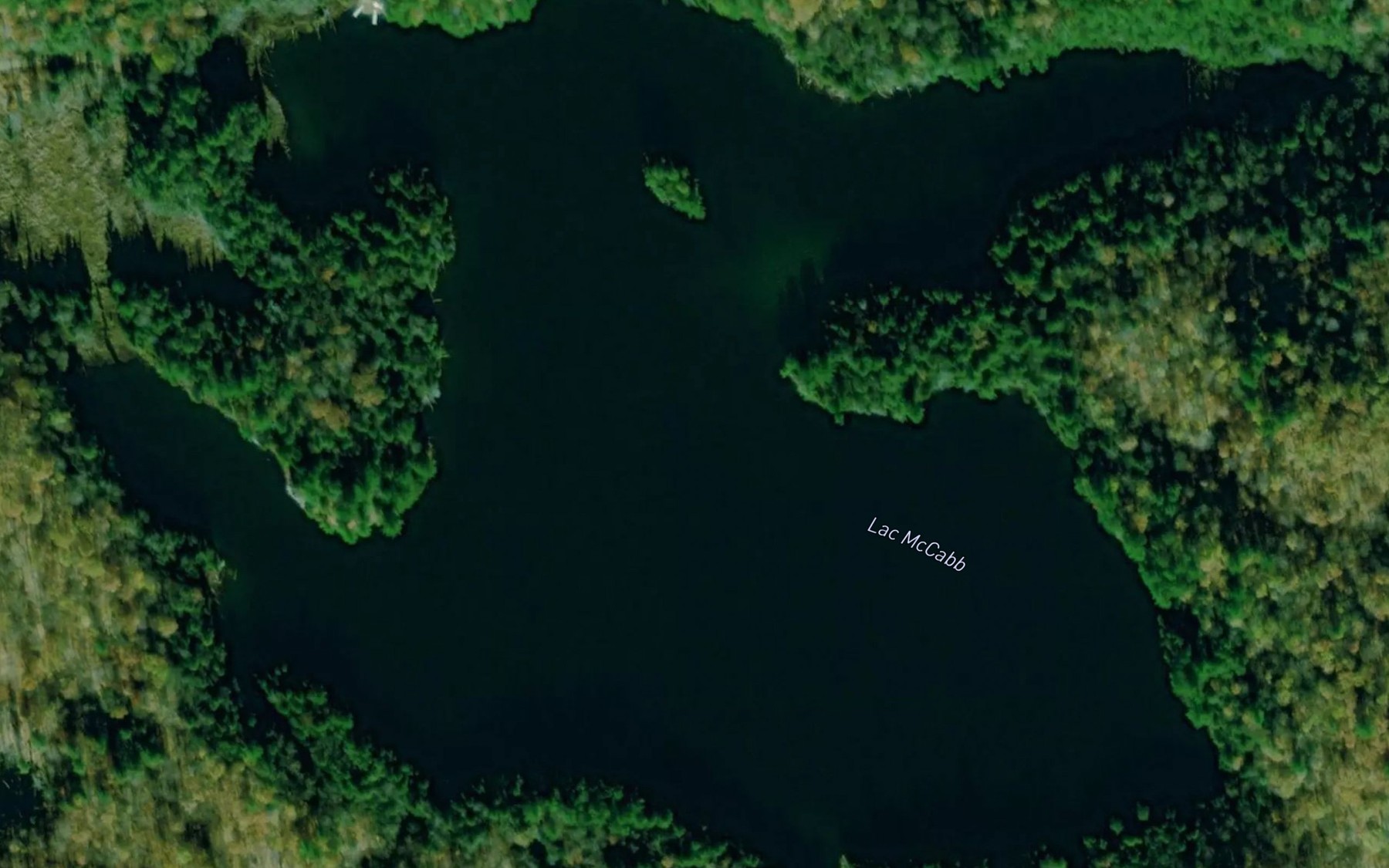 Satellite map of the Lac McCabb