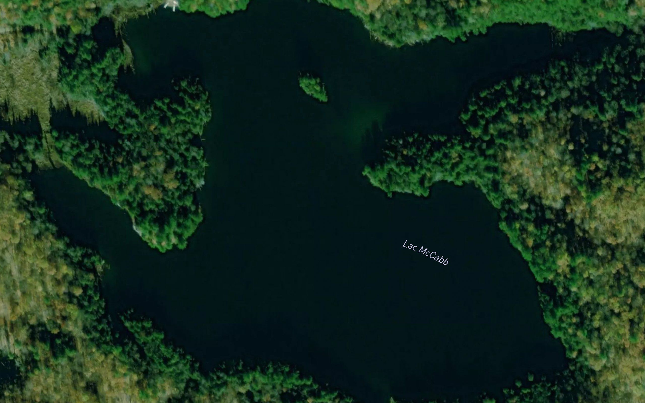 Lac McCabb