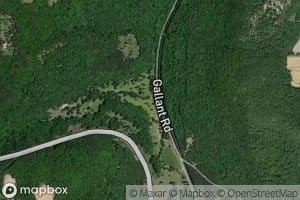 Little Gulf Branch