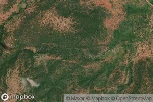 Olchorro Olmeleliani