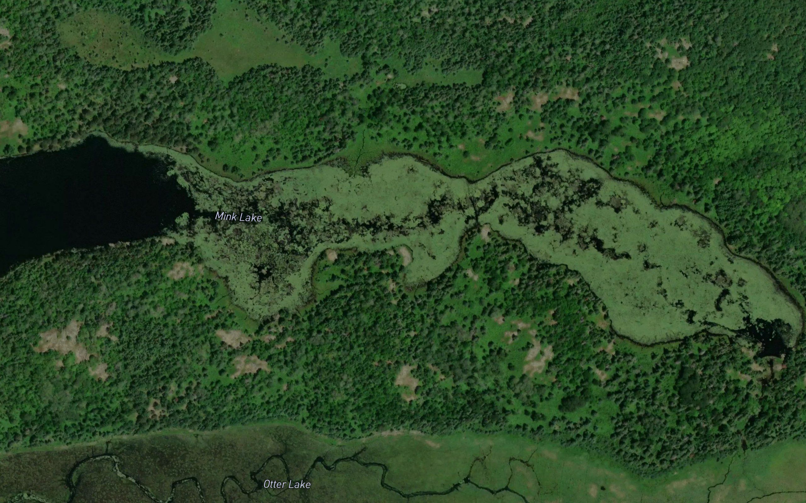 Mink Lake