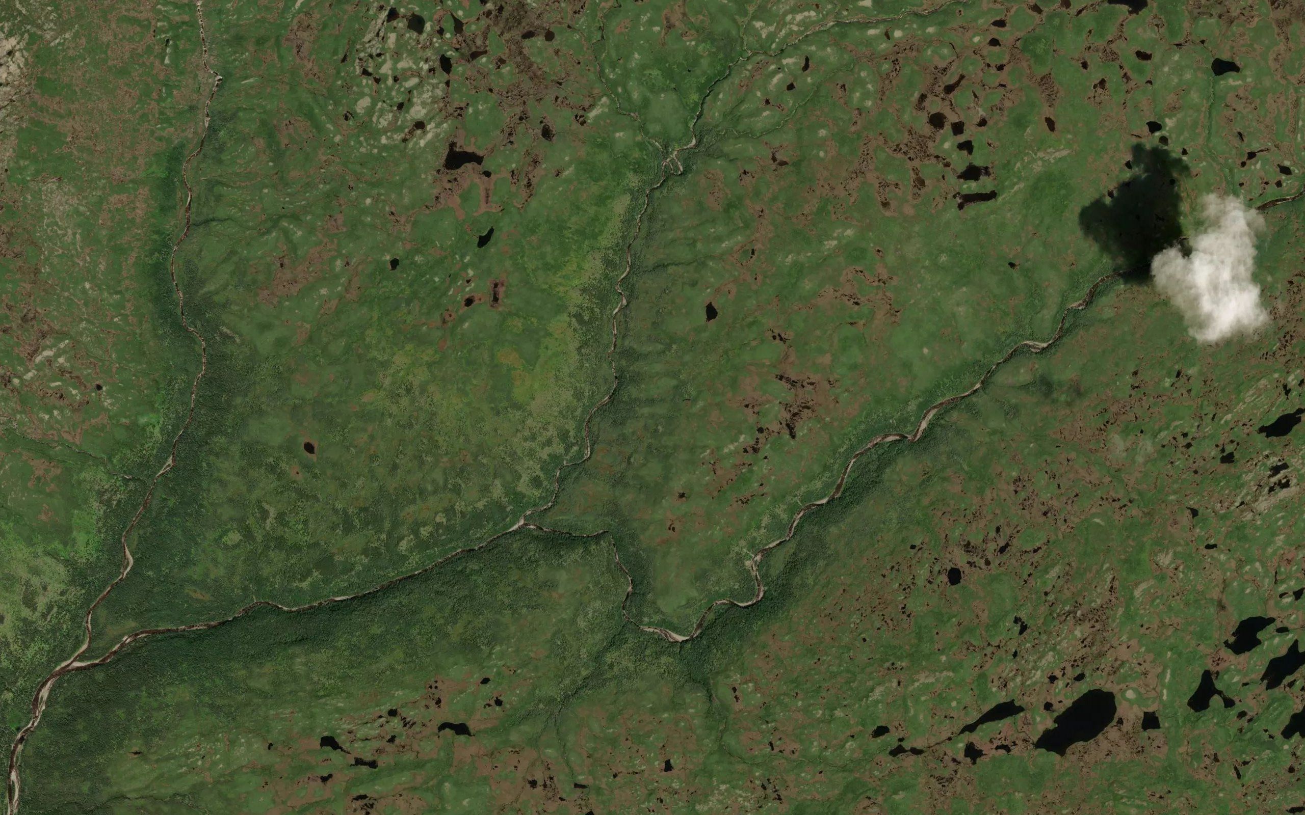 Fox Hole Brook