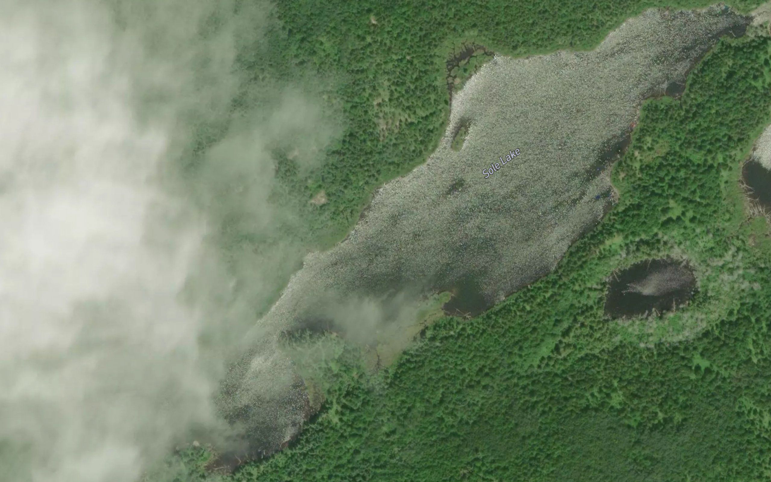 Sole Lake
