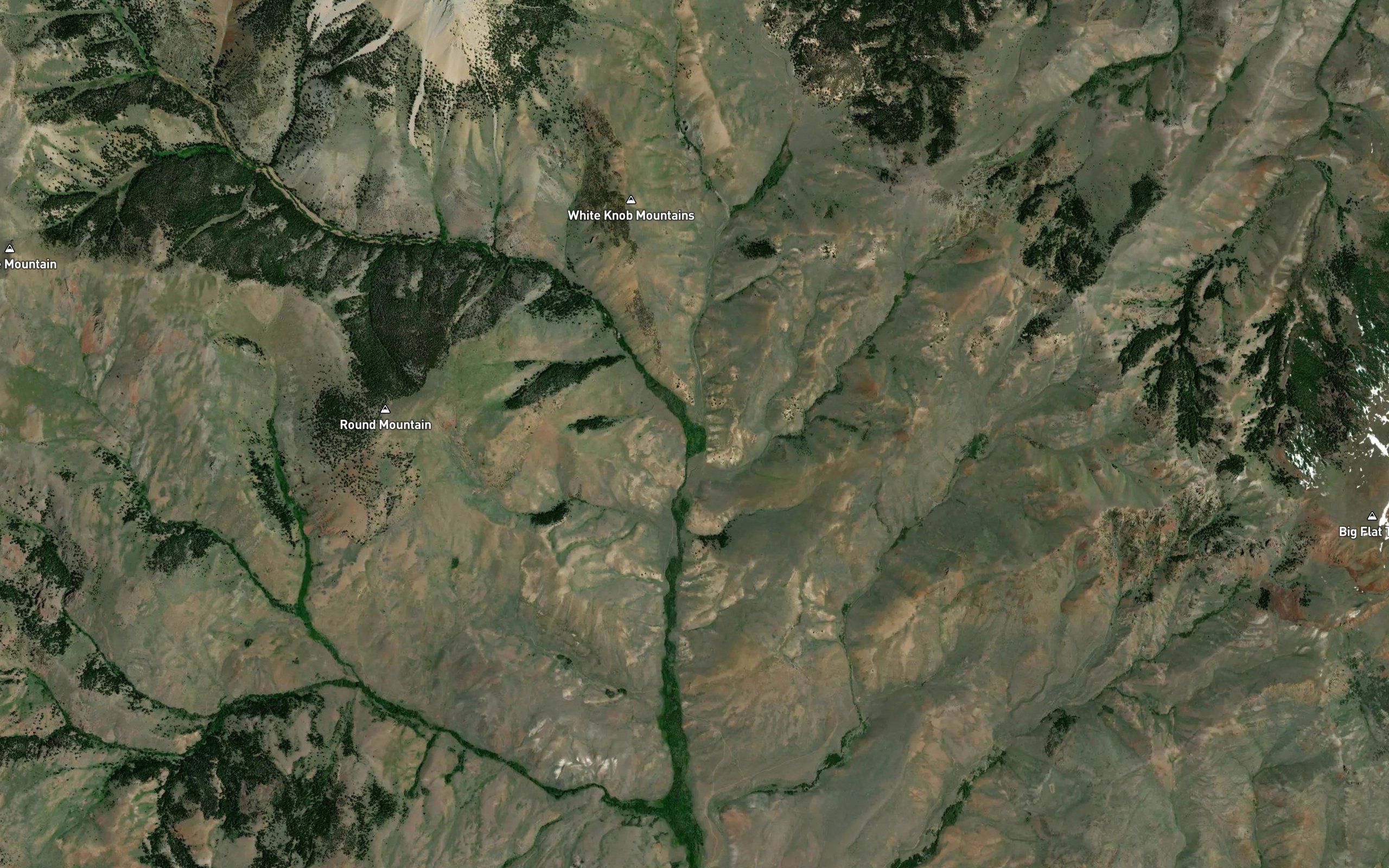 Lupine Creek