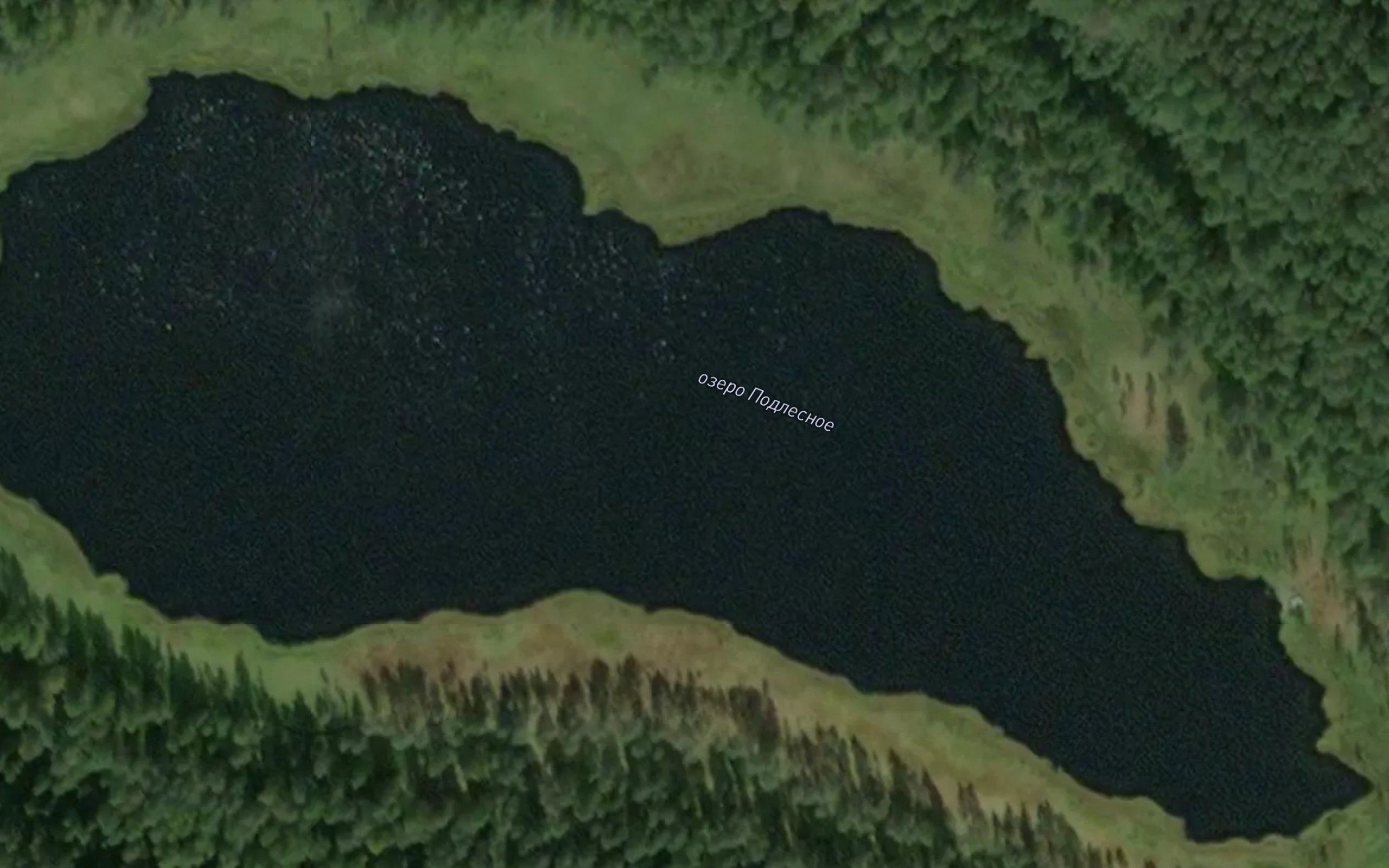 Ozero Podlesnoye