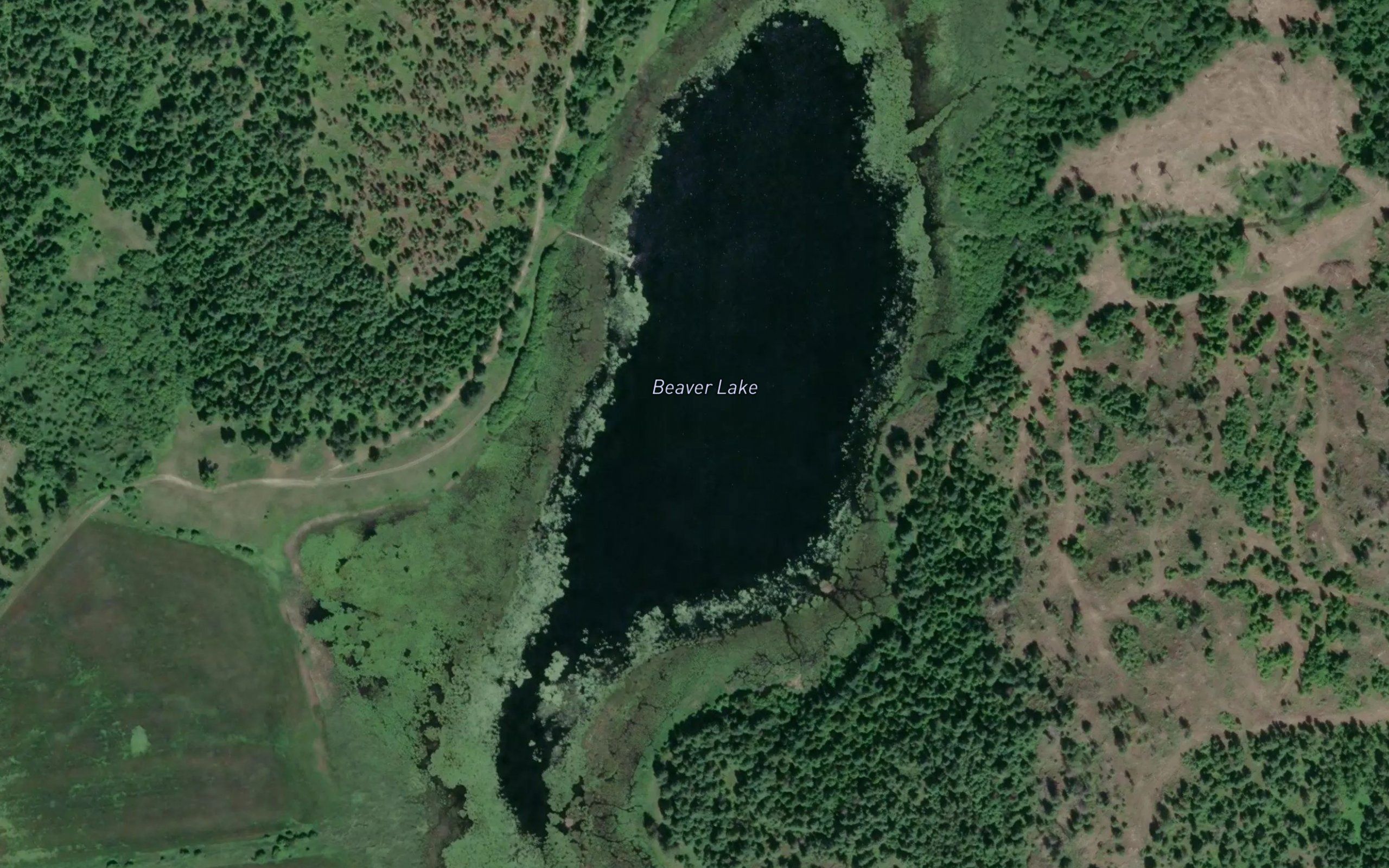 Beaver Lake