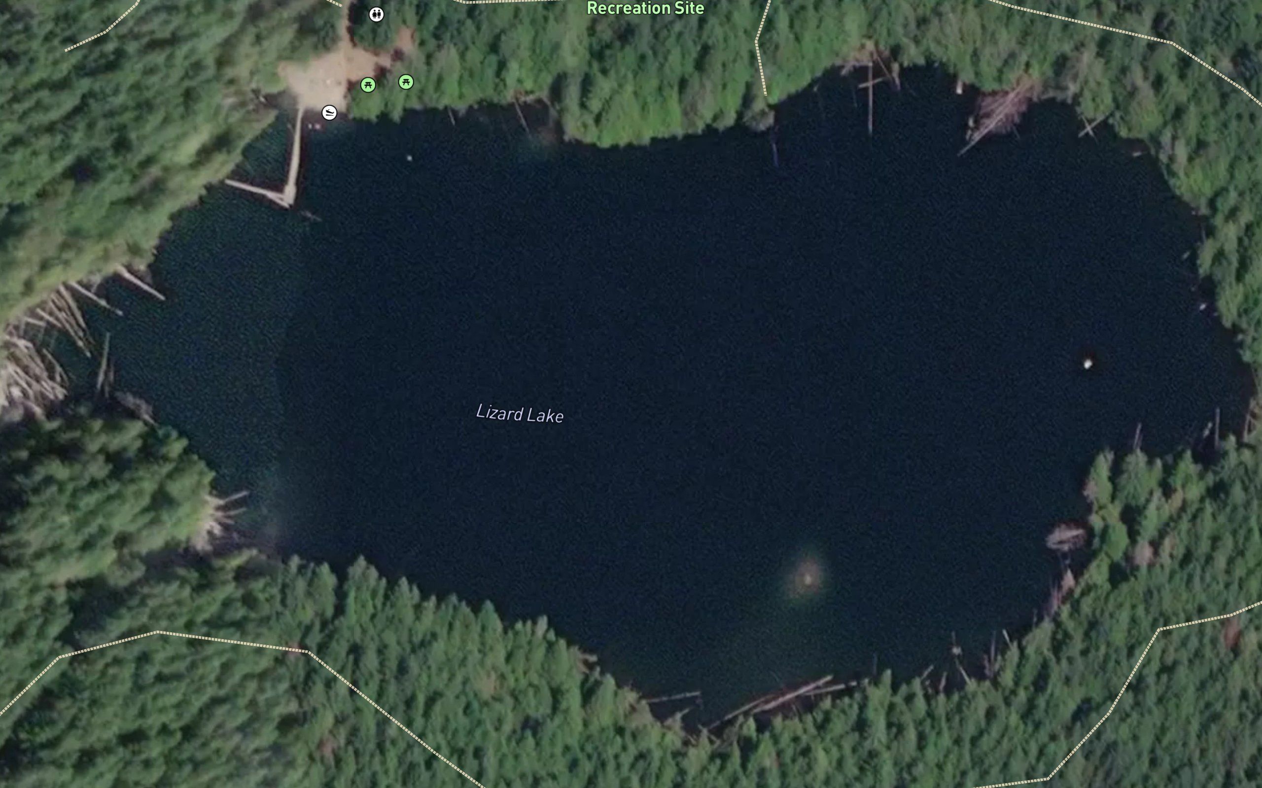 Lizard Lake