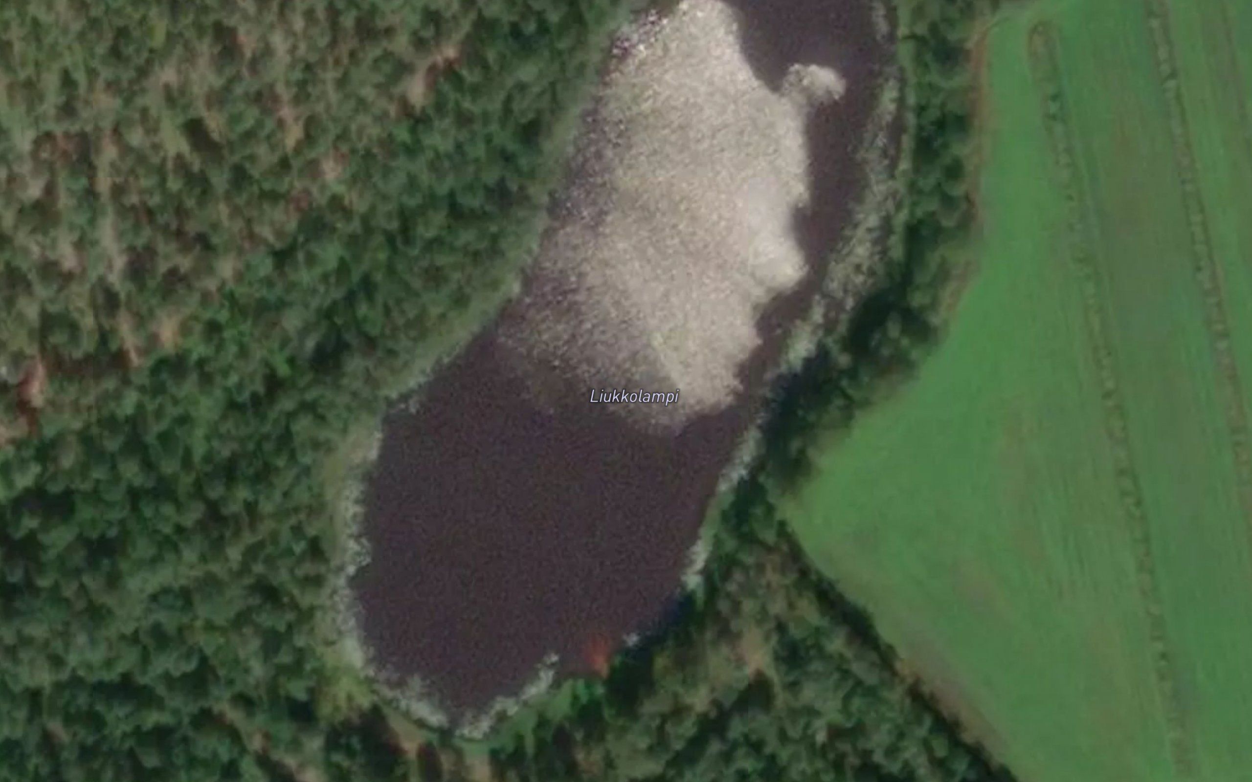 Liukkolampi