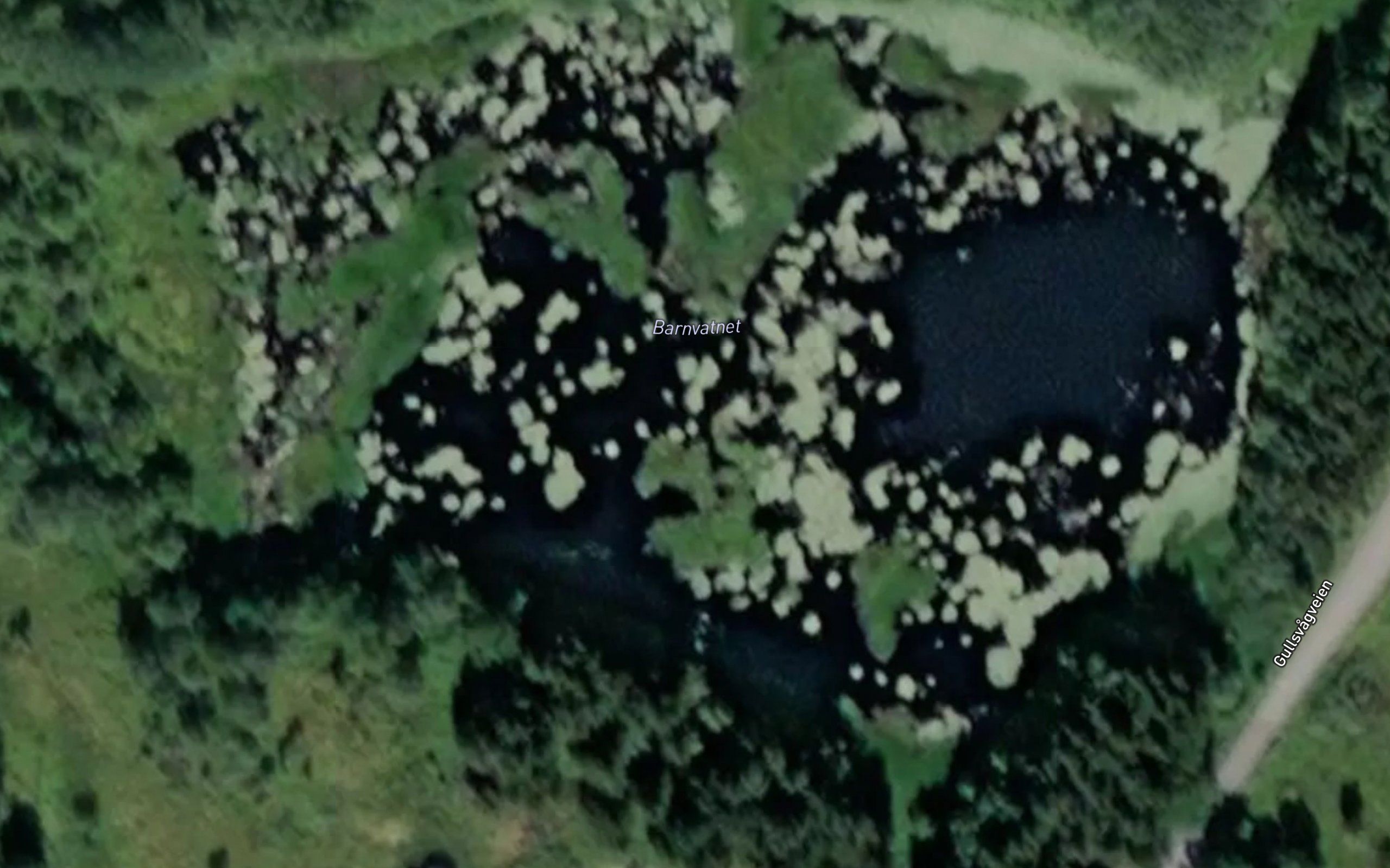 Banvatnet