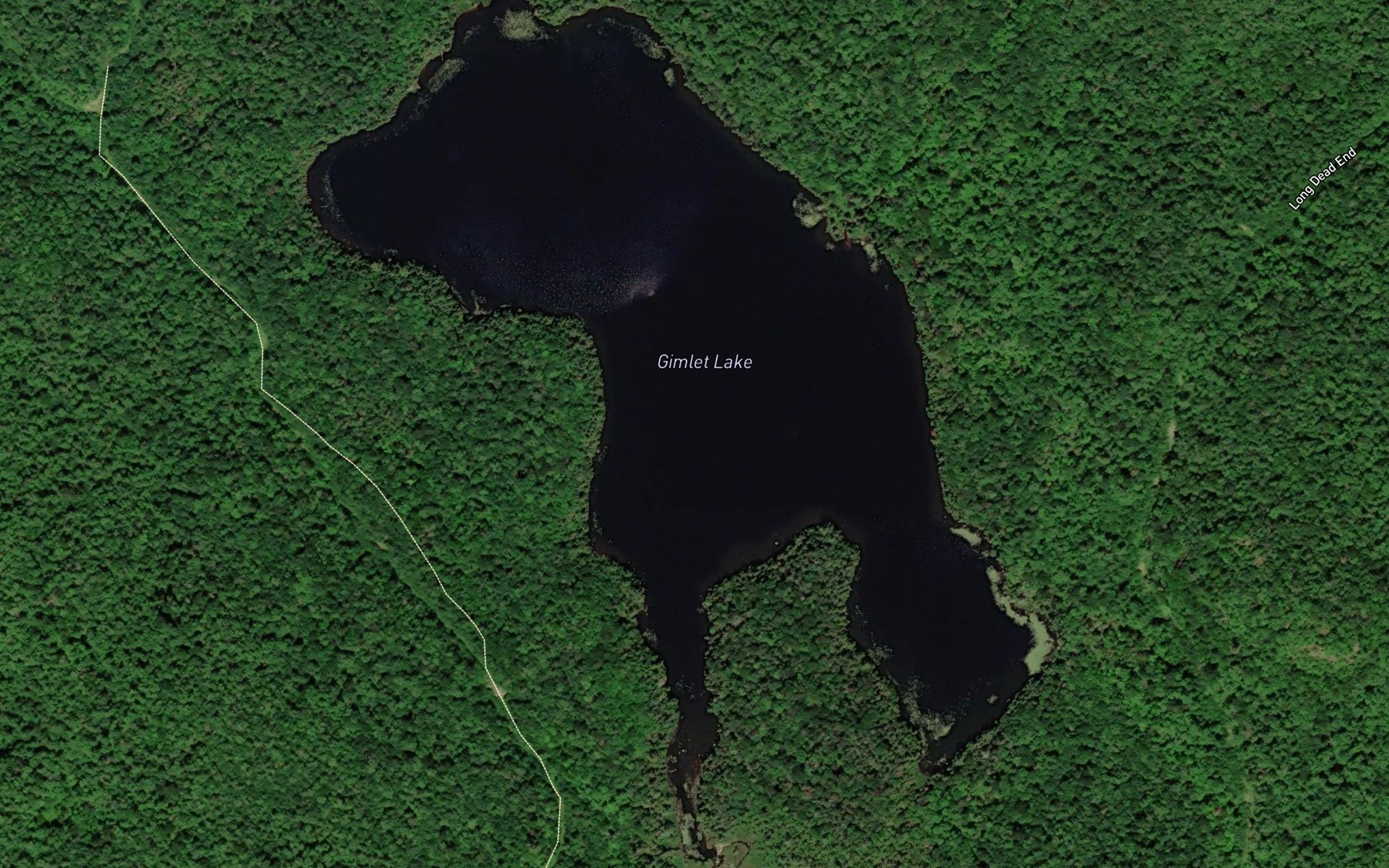Satellite map of the Gimlet Lake
