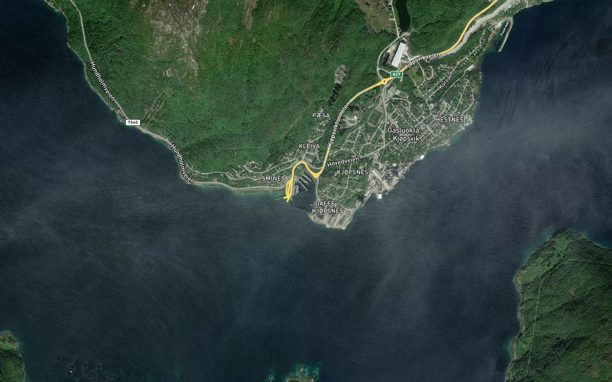 Kjopsvika