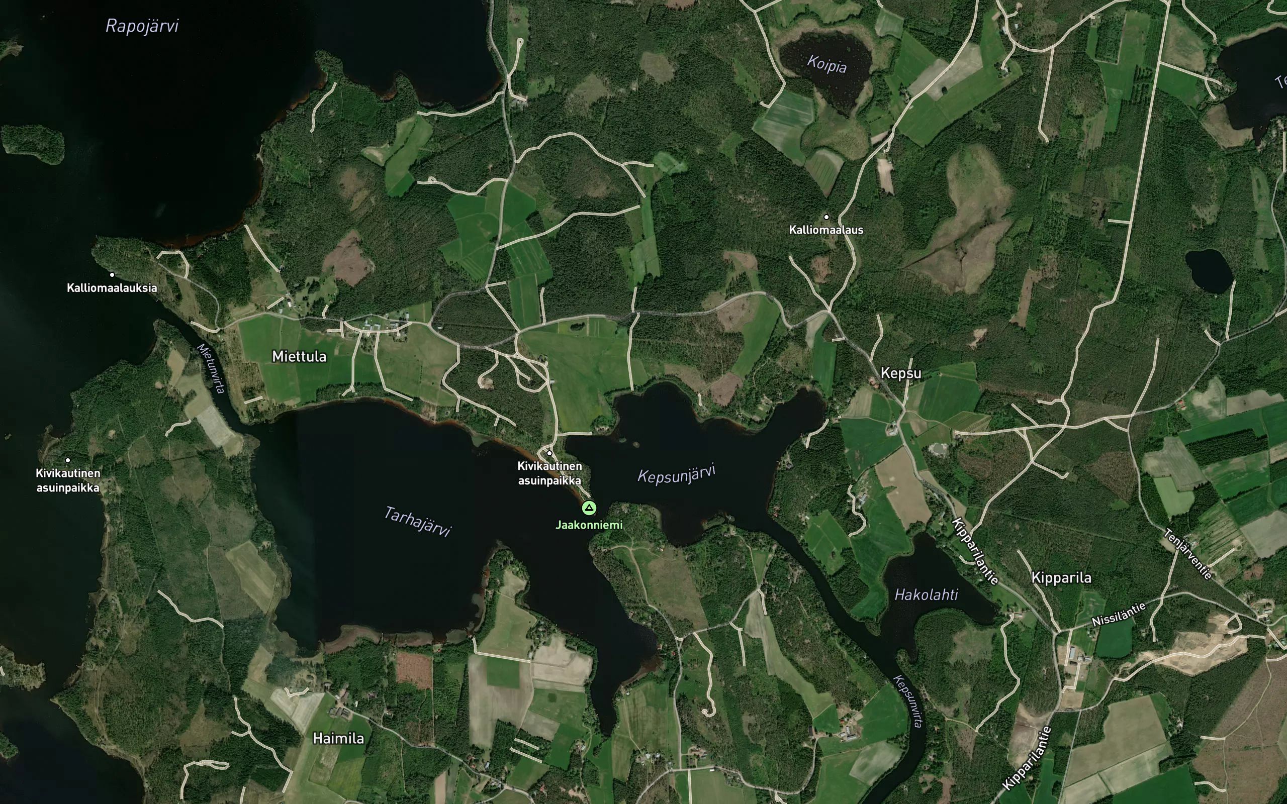 Niitynlahti