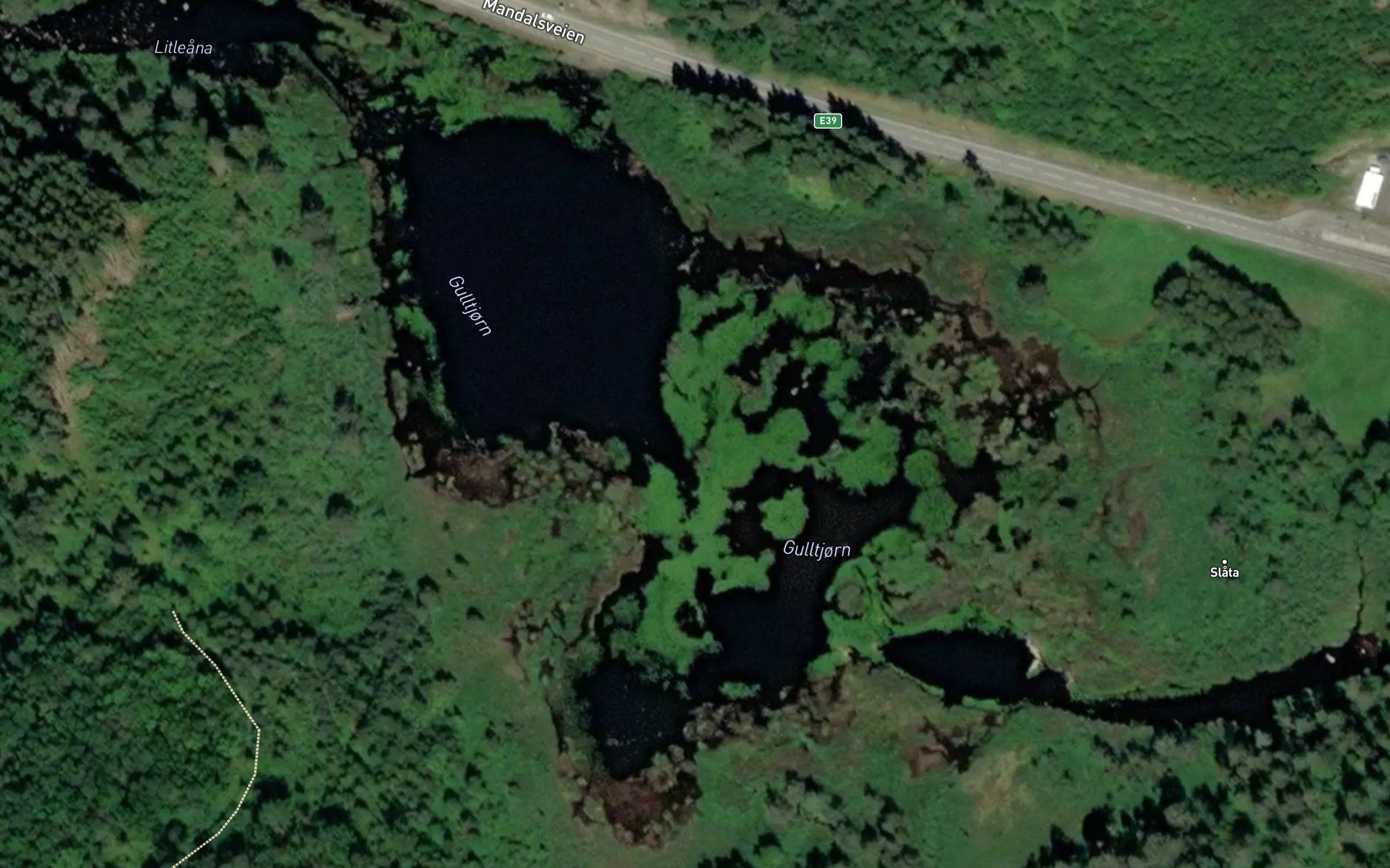 Gulltjorn
