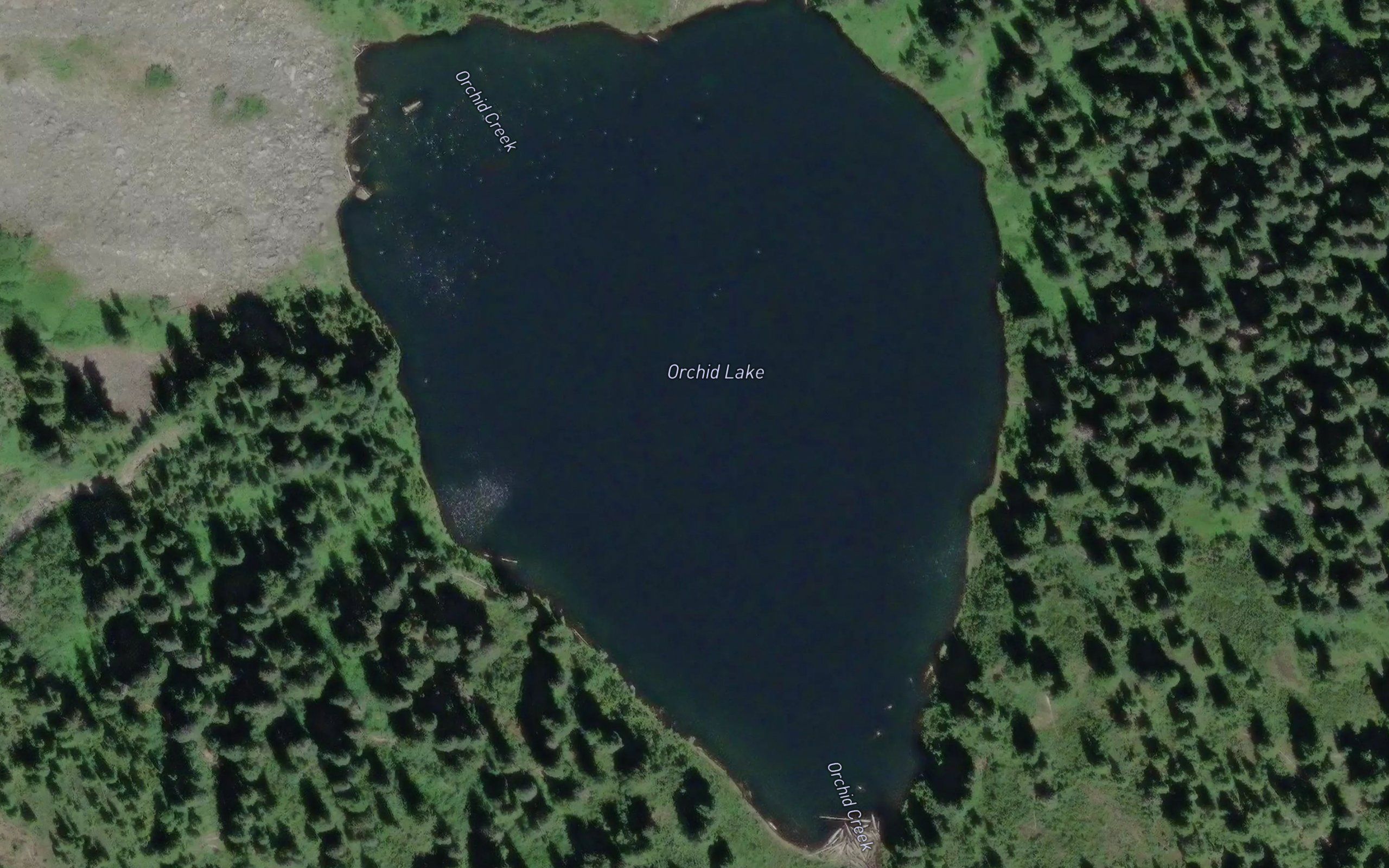 Orchid Lake