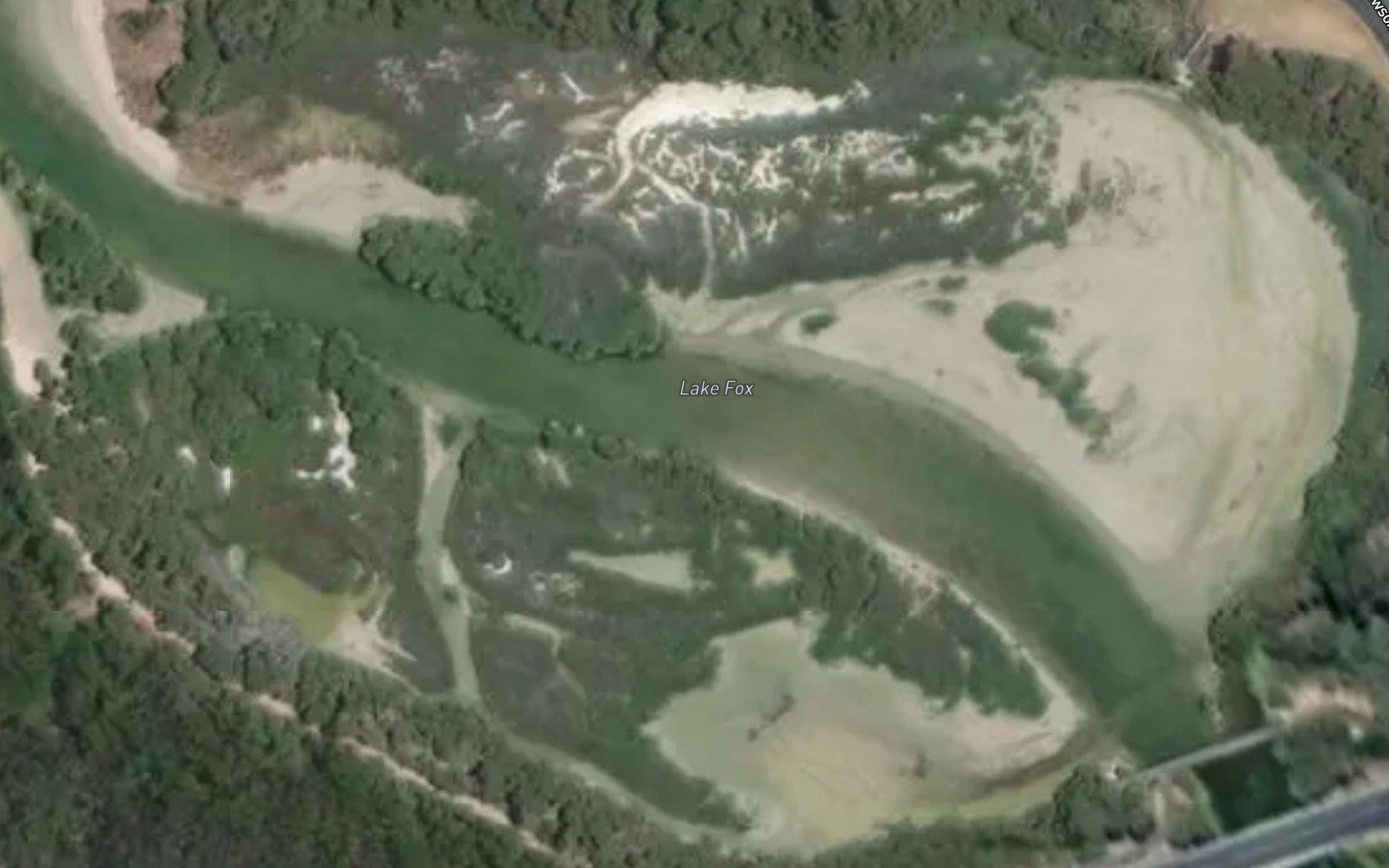 Lake Fox