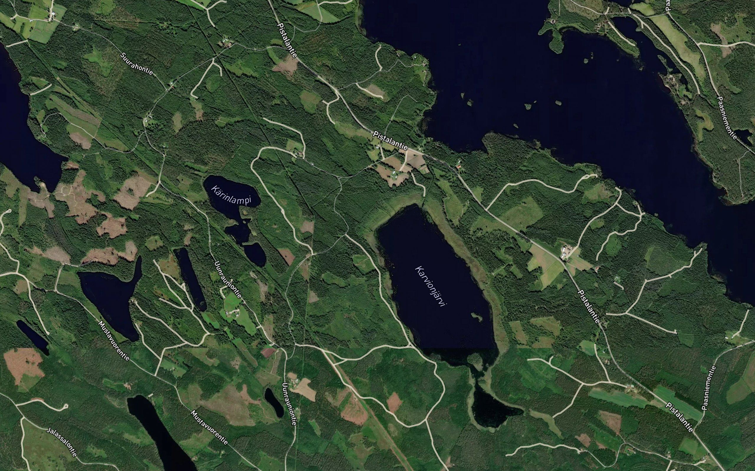 Karinlamminoja