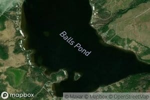 Balls Pond