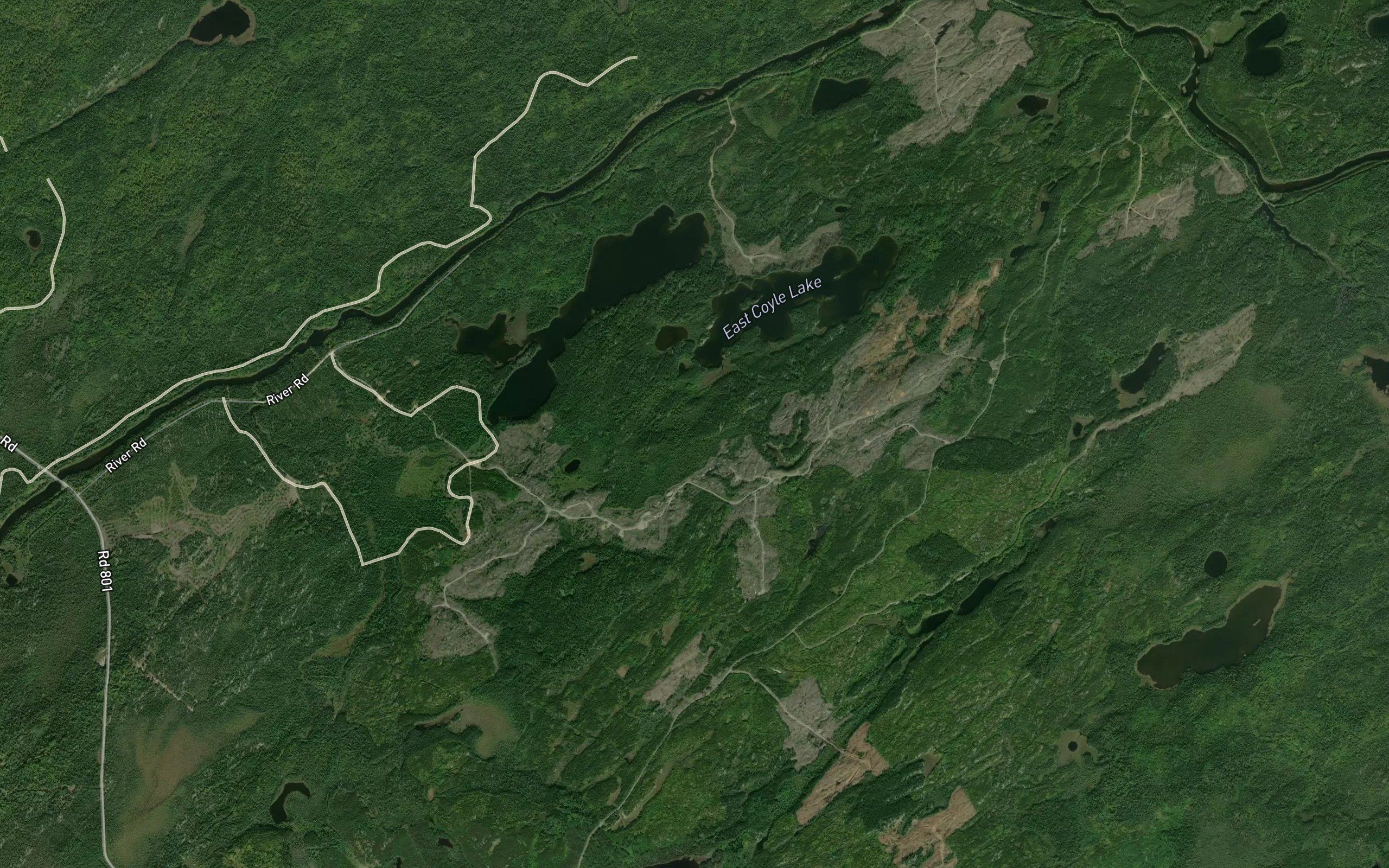 Coyle Creek