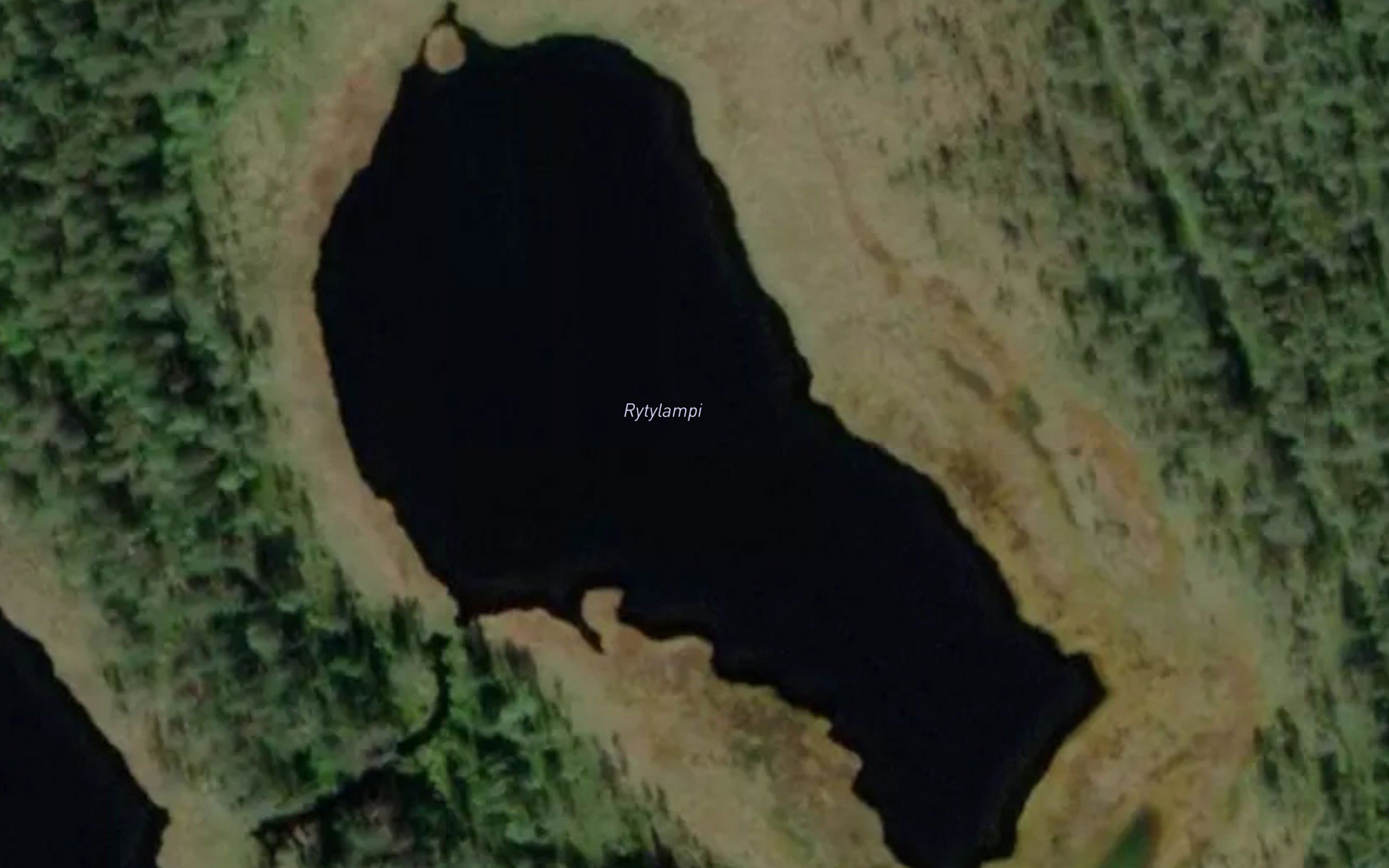 Rytylampi
