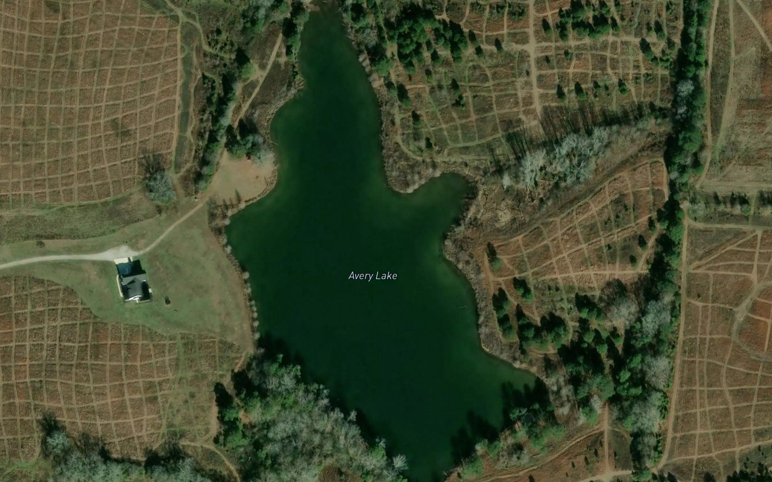 Avery Lake