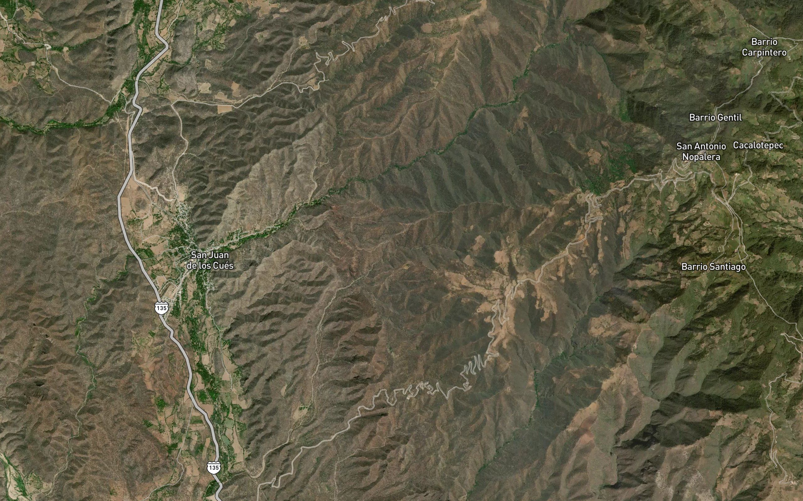 Platanillo