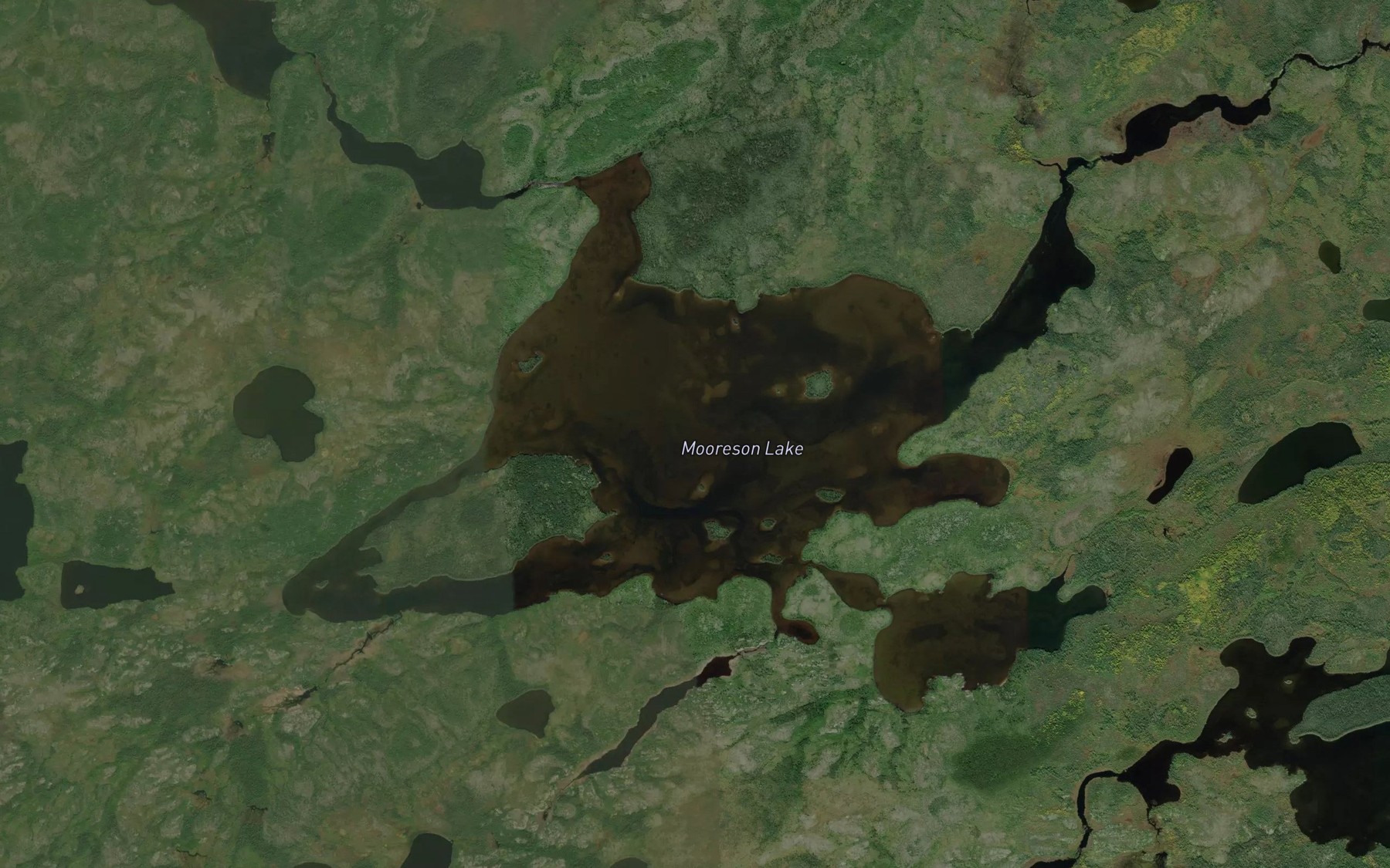 Satellite map of the Mooreson Lake
