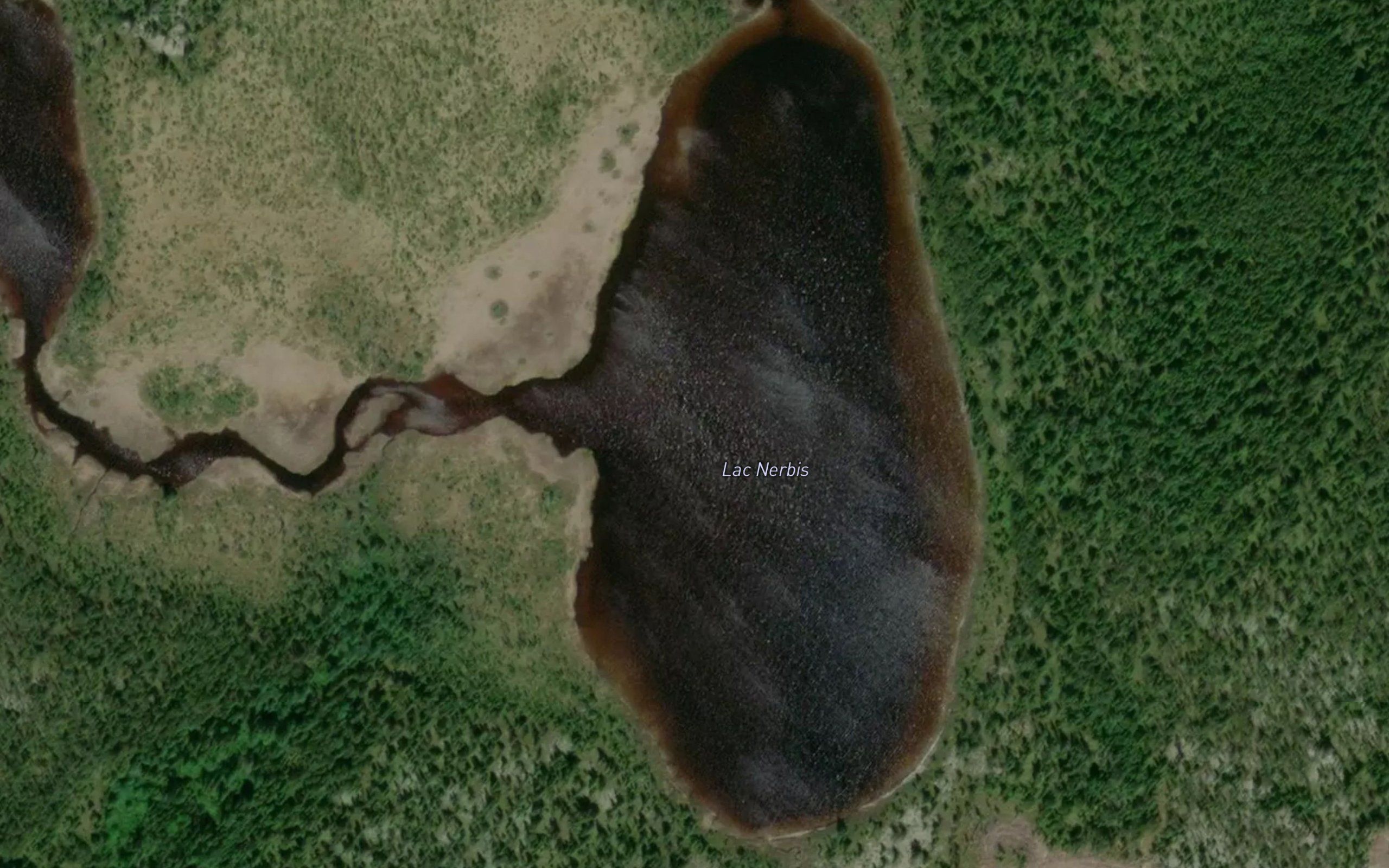 Lac Nerbis