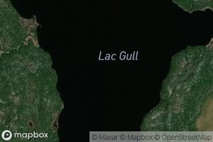 Lac Gull
