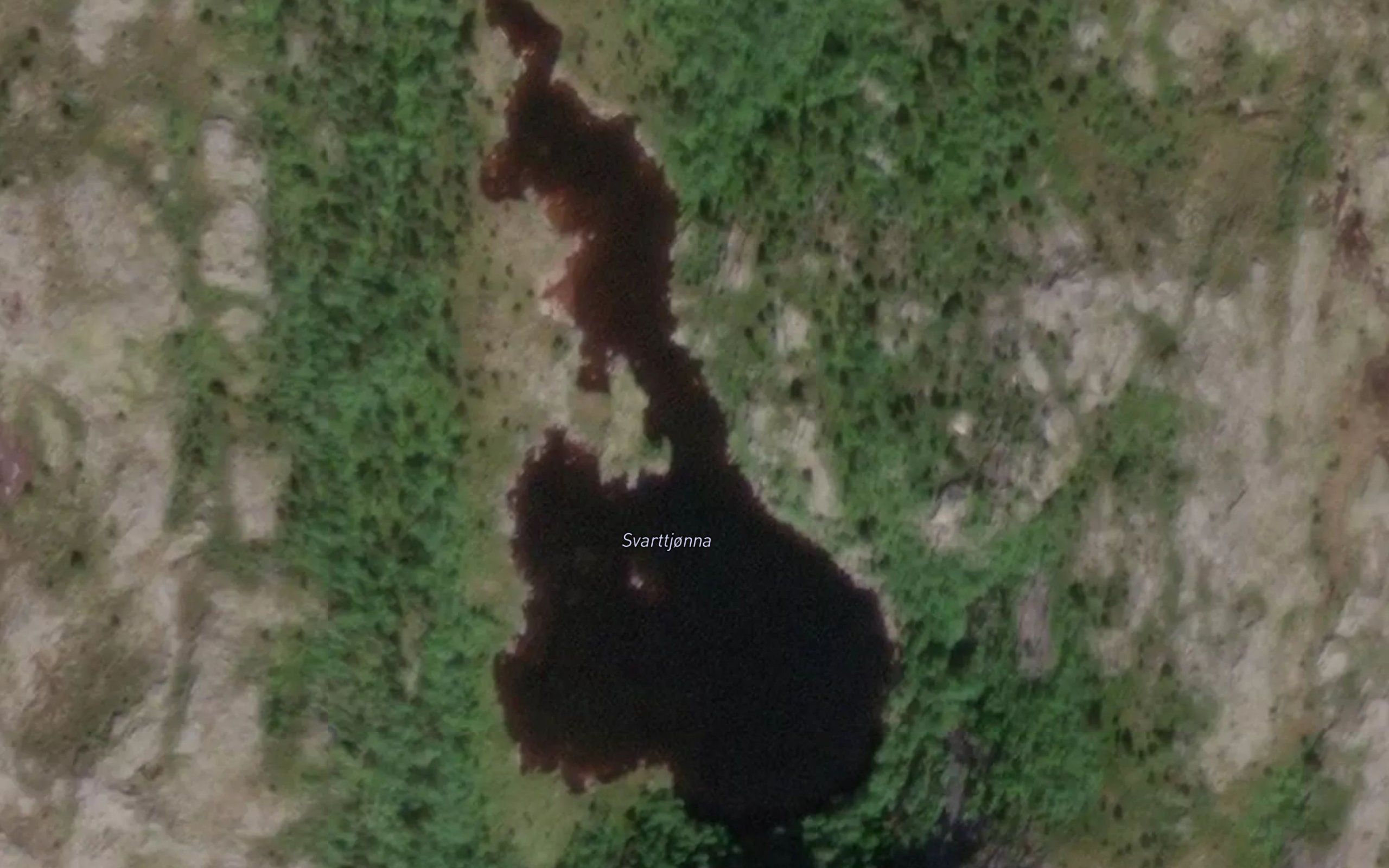 Svarttjonna
